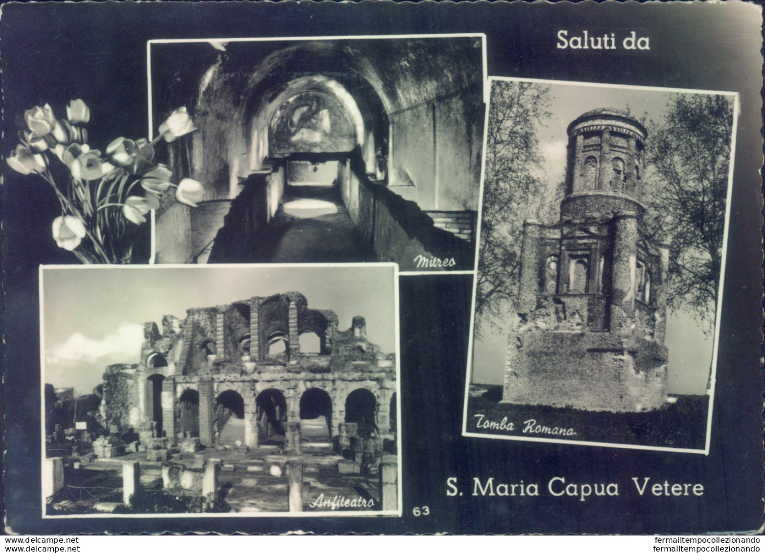 Ad455 Cartolina Saluti Da S.maria Capua Vetere Provincia Di Caserta - Caserta