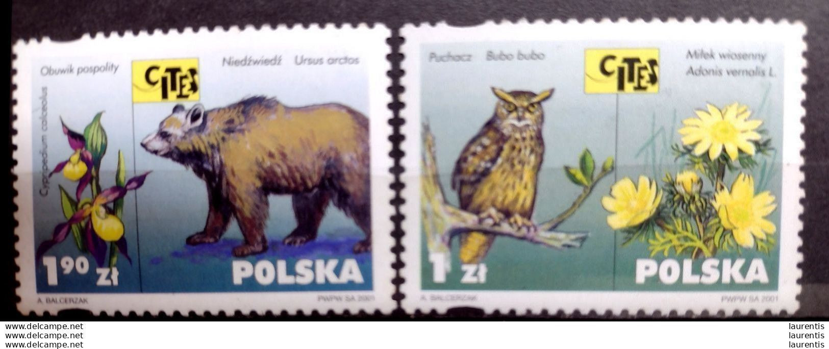 D2861 - Owls - Hiboux - Bears - Ours - Poland 2001 - MNH - 1,35 - Owls