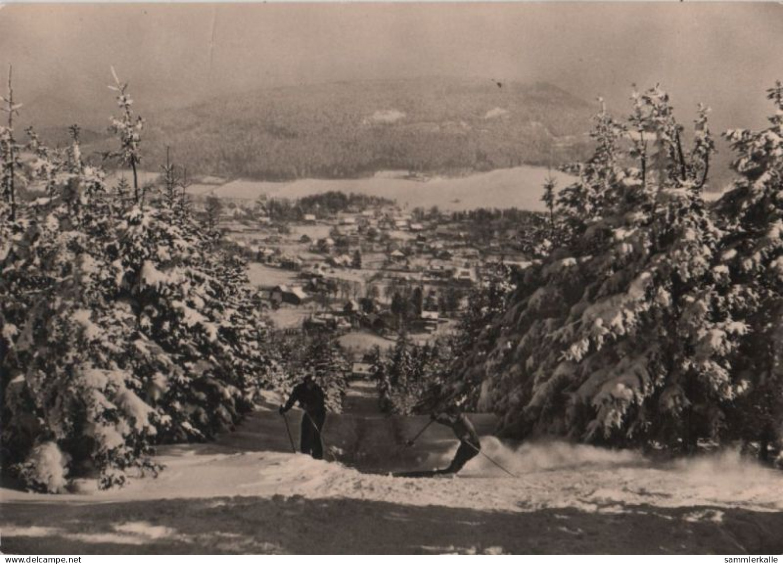 66766 - Jonsdorf - Ski-Abfahrtsstrecke Am Buchberg - Ca. 1960 - Jonsdorf