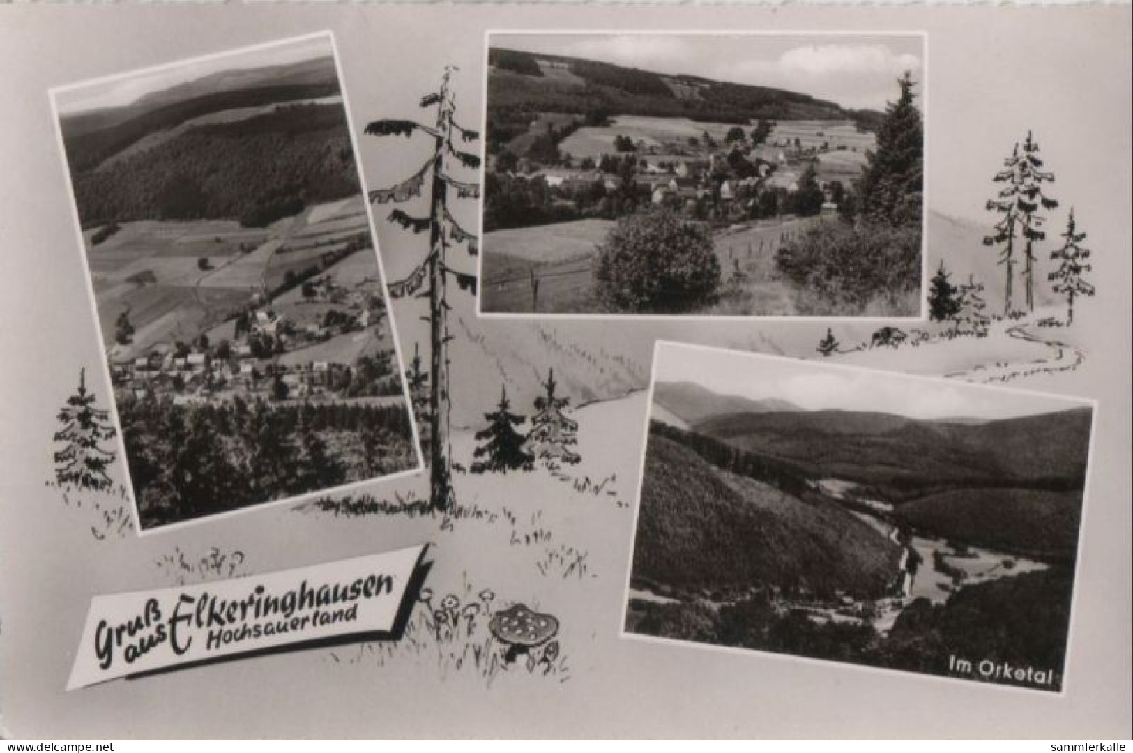 54891 - Winterberg-Elkeringhausen - Mit 3 Bildern - Ca. 1960 - Winterberg