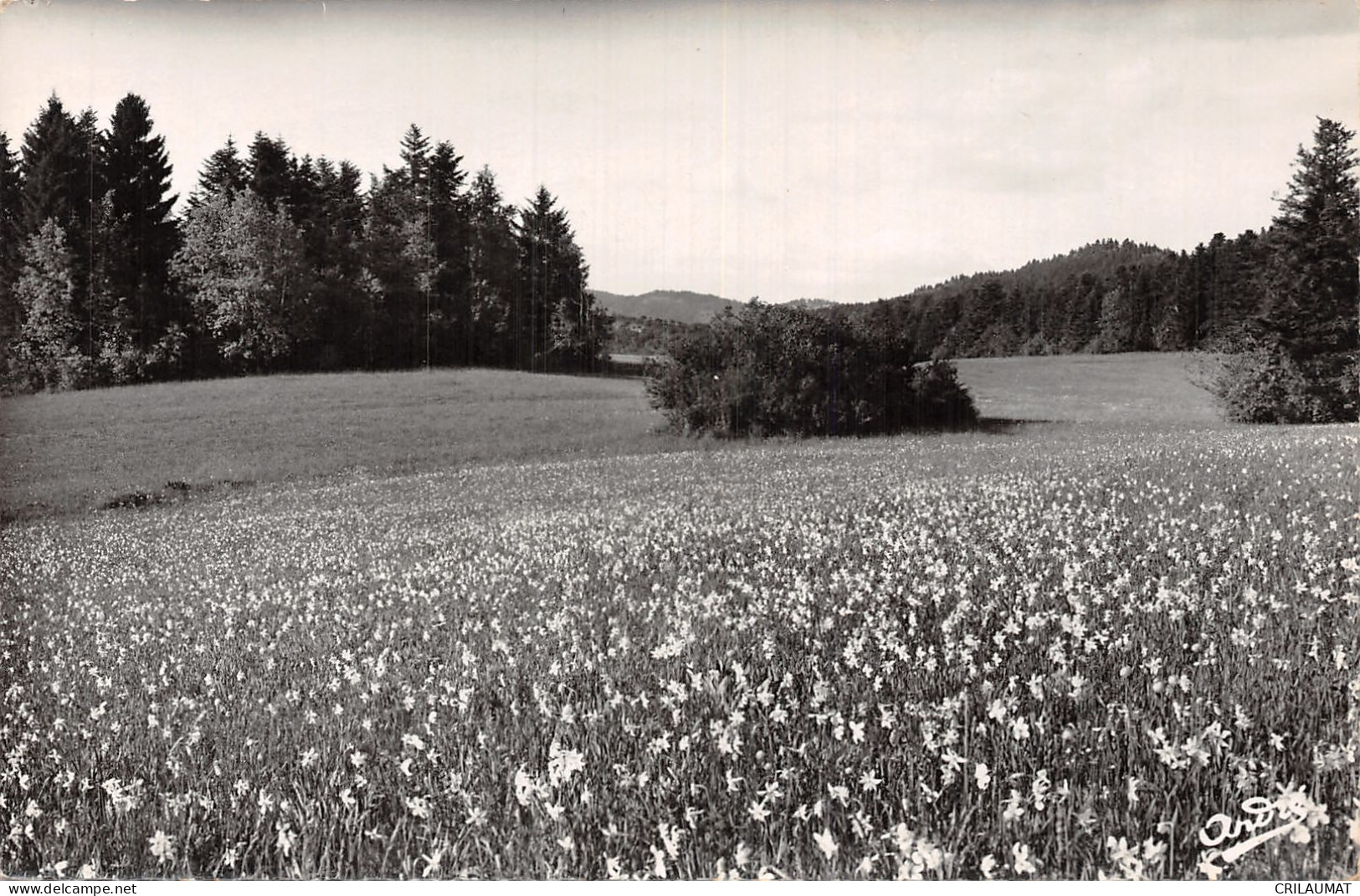 01-HAUTEVILLE LOMPNES-N°T2905-C/0343 - Hauteville-Lompnes