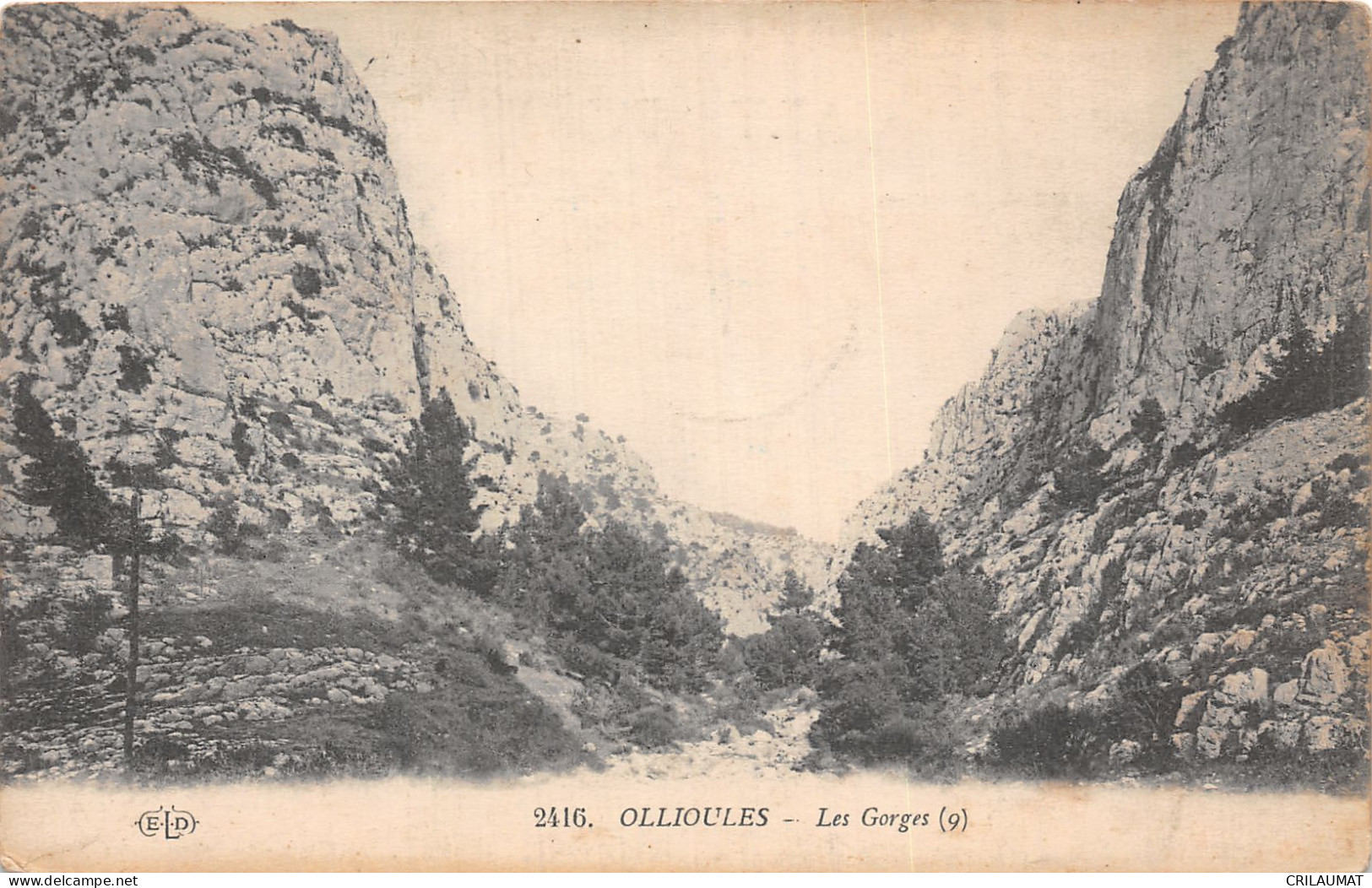 83-OLLIOULES-N°T2906-D/0289 - Ollioules