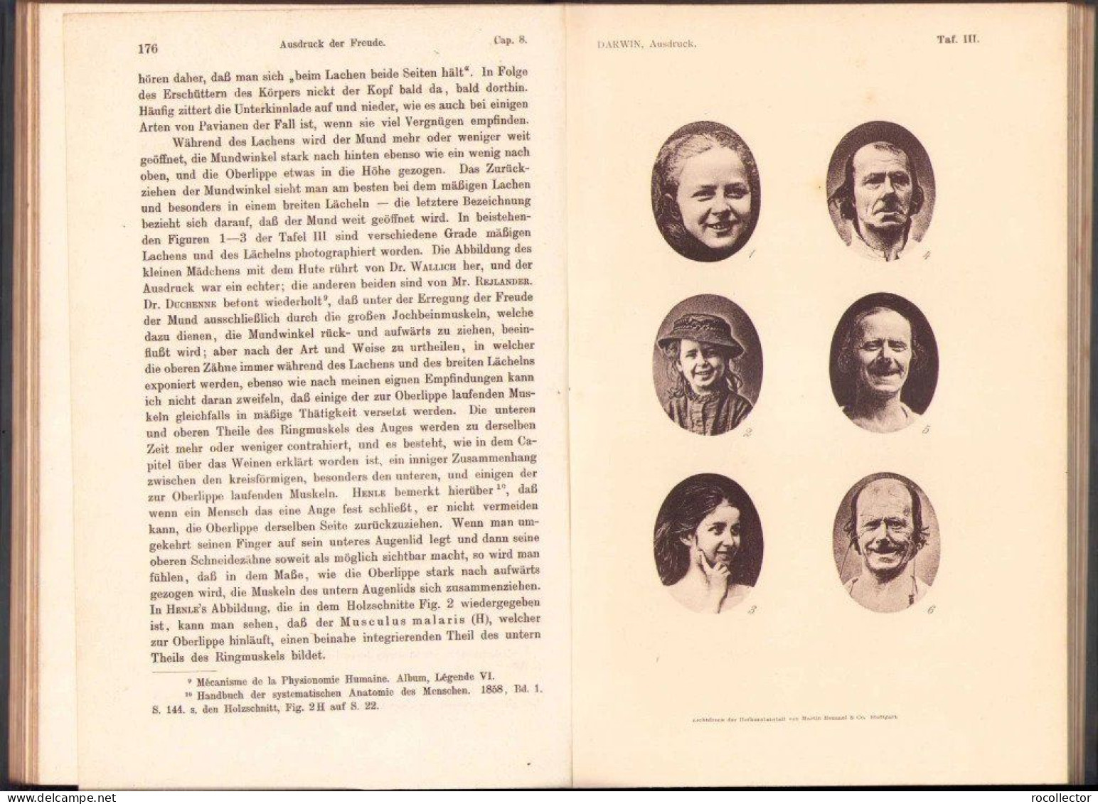 Der Ausdruck der Gemütsbewegungen bei dem Menschen und den Tieren von Charles Darwin, 1908, Stuttgart 318SP