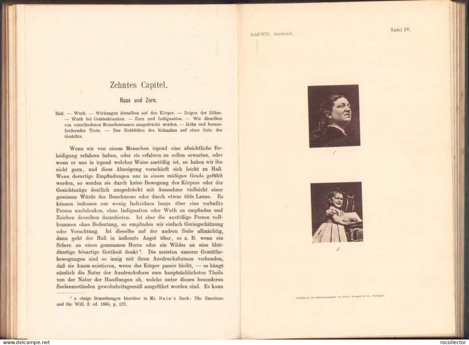 Der Ausdruck der Gemütsbewegungen bei dem Menschen und den Tieren von Charles Darwin, 1908, Stuttgart 318SP