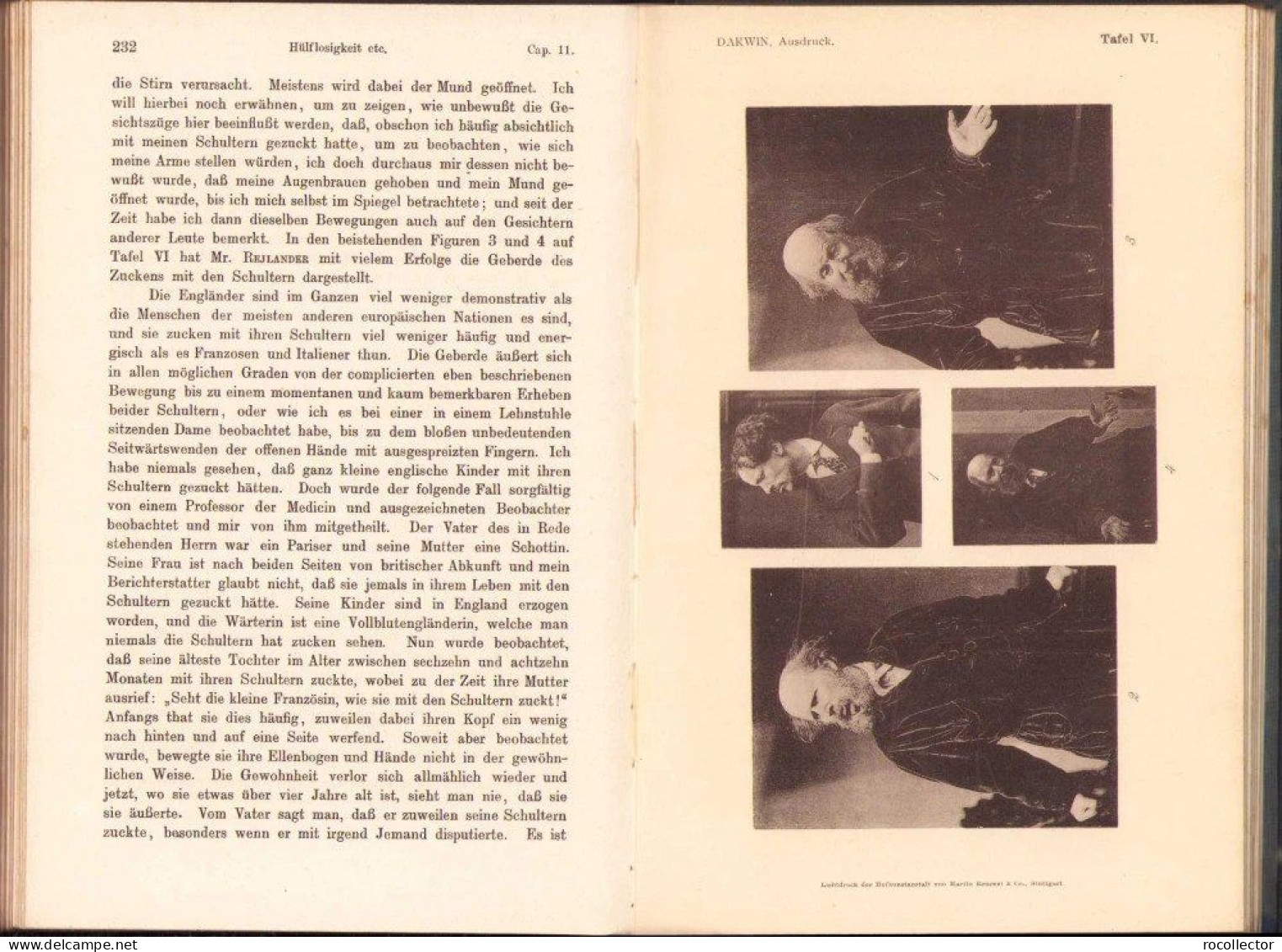 Der Ausdruck der Gemütsbewegungen bei dem Menschen und den Tieren von Charles Darwin, 1908, Stuttgart 318SP