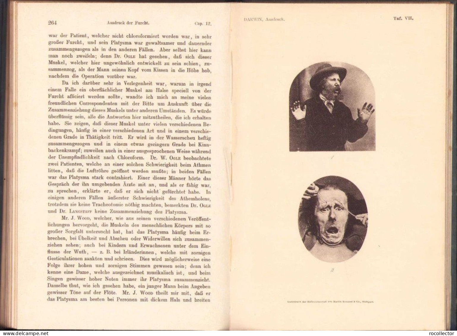 Der Ausdruck der Gemütsbewegungen bei dem Menschen und den Tieren von Charles Darwin, 1908, Stuttgart 318SP