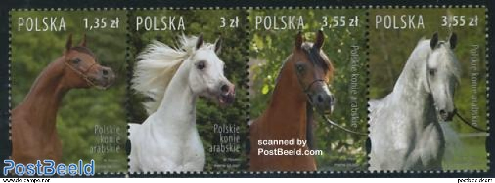Poland 2007 Horses 4v [:::], Mint NH, Nature - Animals (others & Mixed) - Horses - Unused Stamps