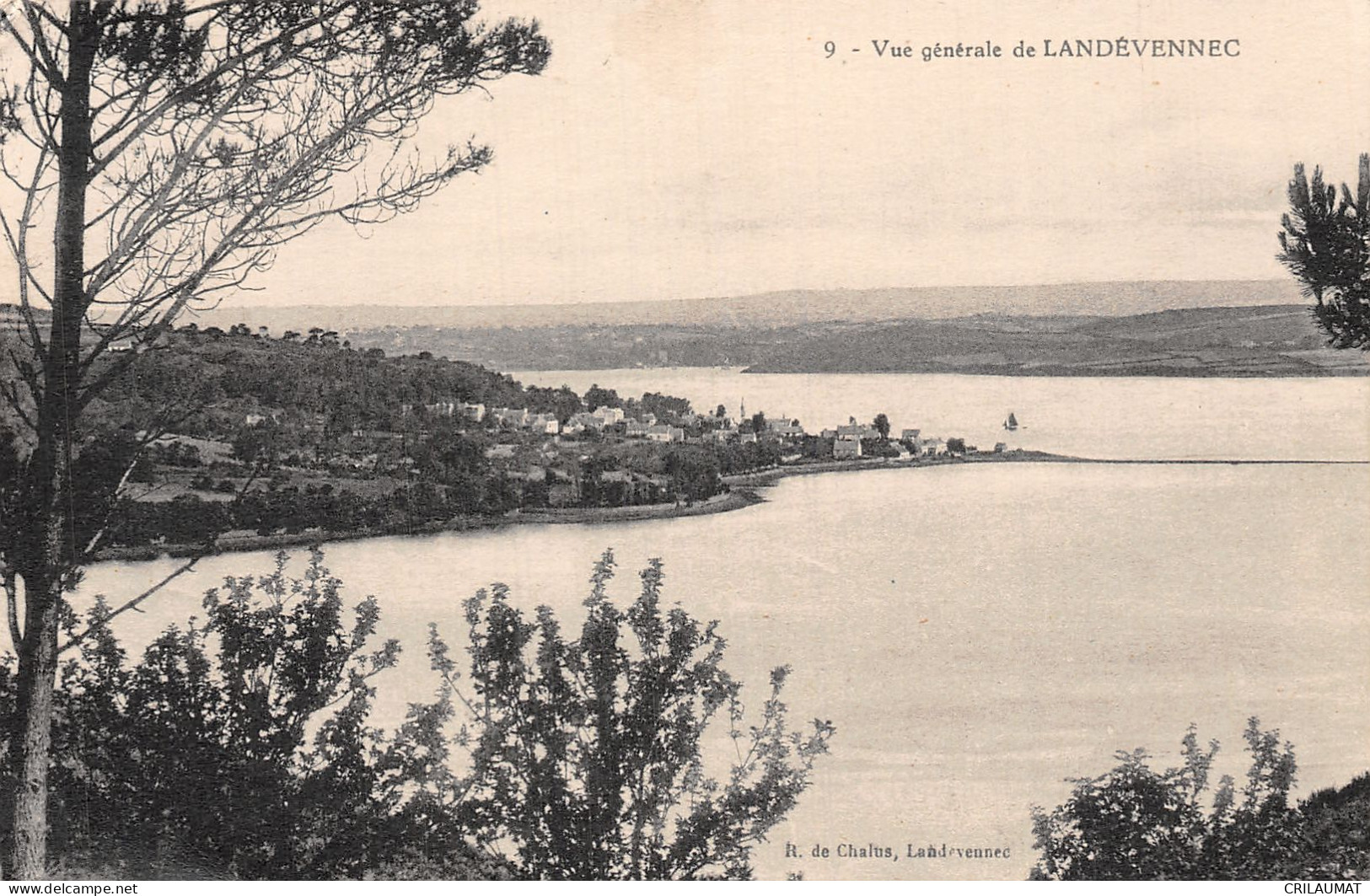 29-LANDEVENNEC-N°T2912-B/0247 - Landévennec