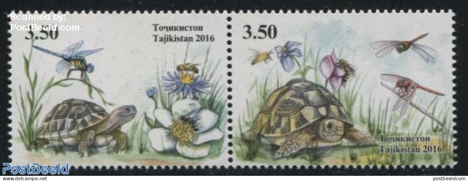 Tajikistan 2016 Turtles 2v [:], Mint NH, Nature - Insects - Reptiles - Turtles - Tajikistan