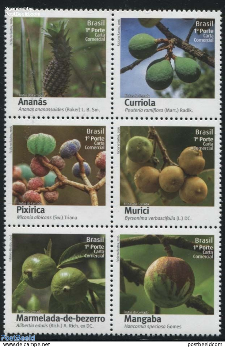 Brazil 2016 Fruits Of Cerrado 6v [++], Mint NH, Nature - Fruit - Unused Stamps