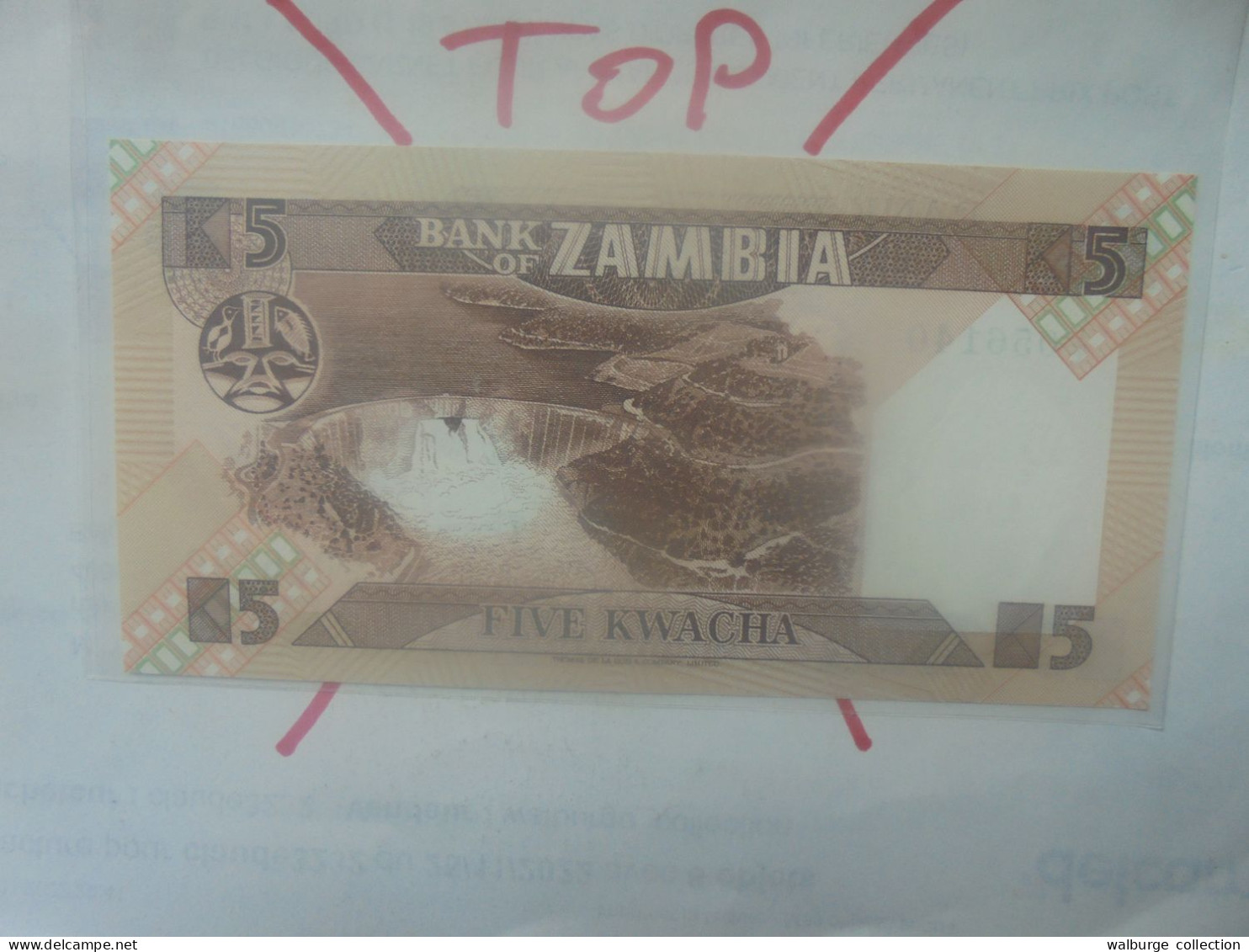 ZAMBIE 5 KWACHA 1980-88 Neuf (B.33) - Zambie