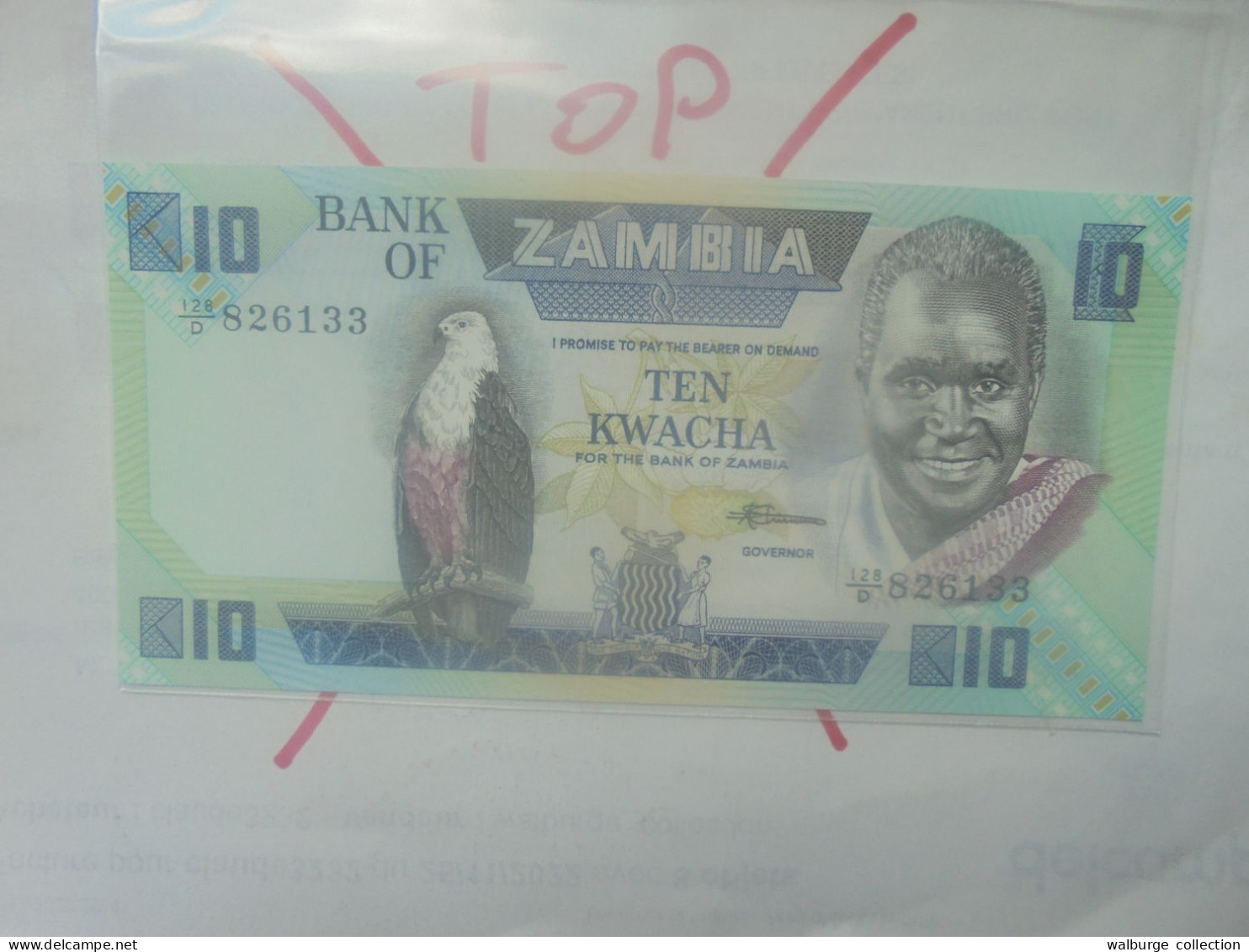 ZAMBIE 10 KWACHA 1980-88 Neuf (B.33) - Zambia