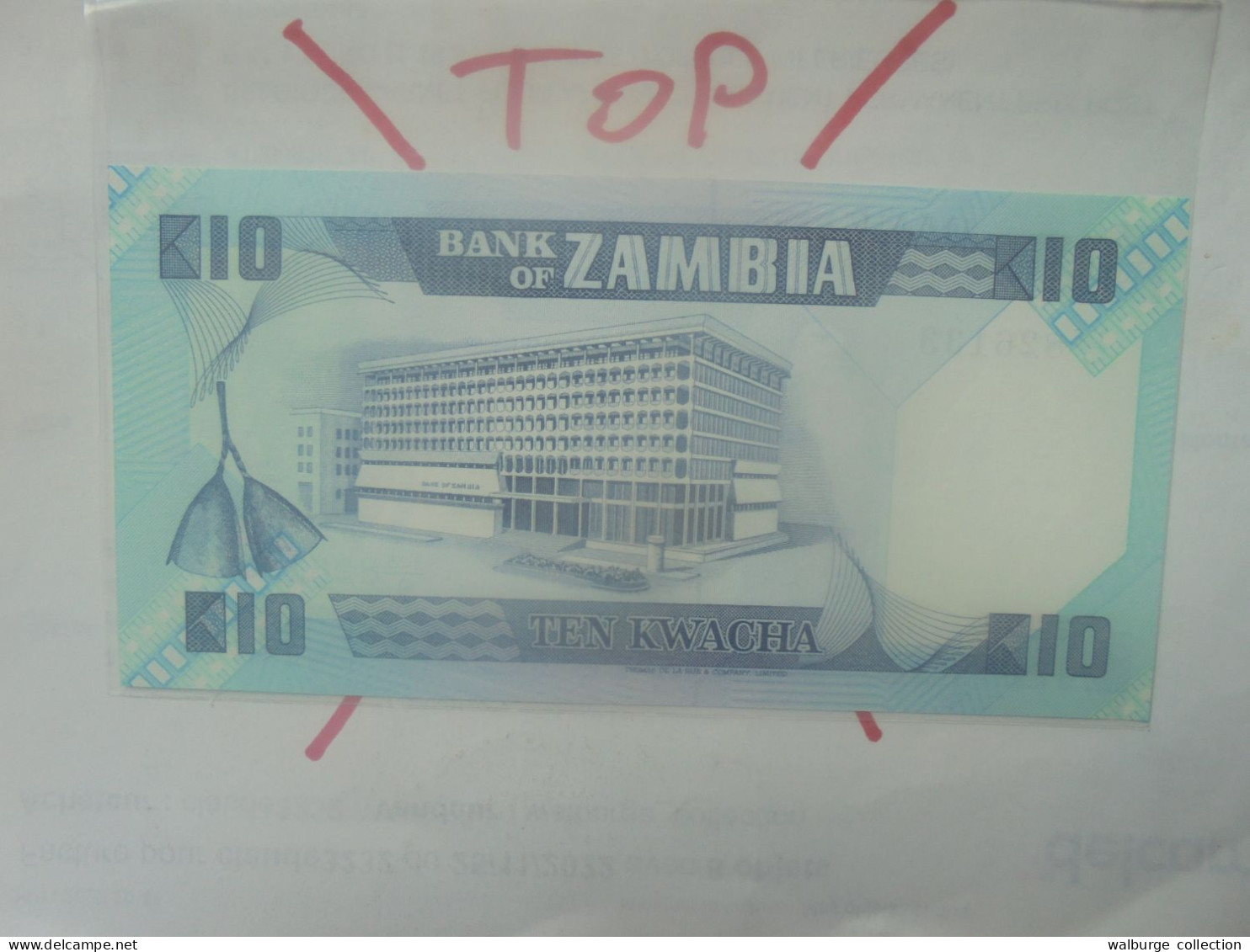 ZAMBIE 10 KWACHA 1980-88 Neuf (B.33) - Sambia