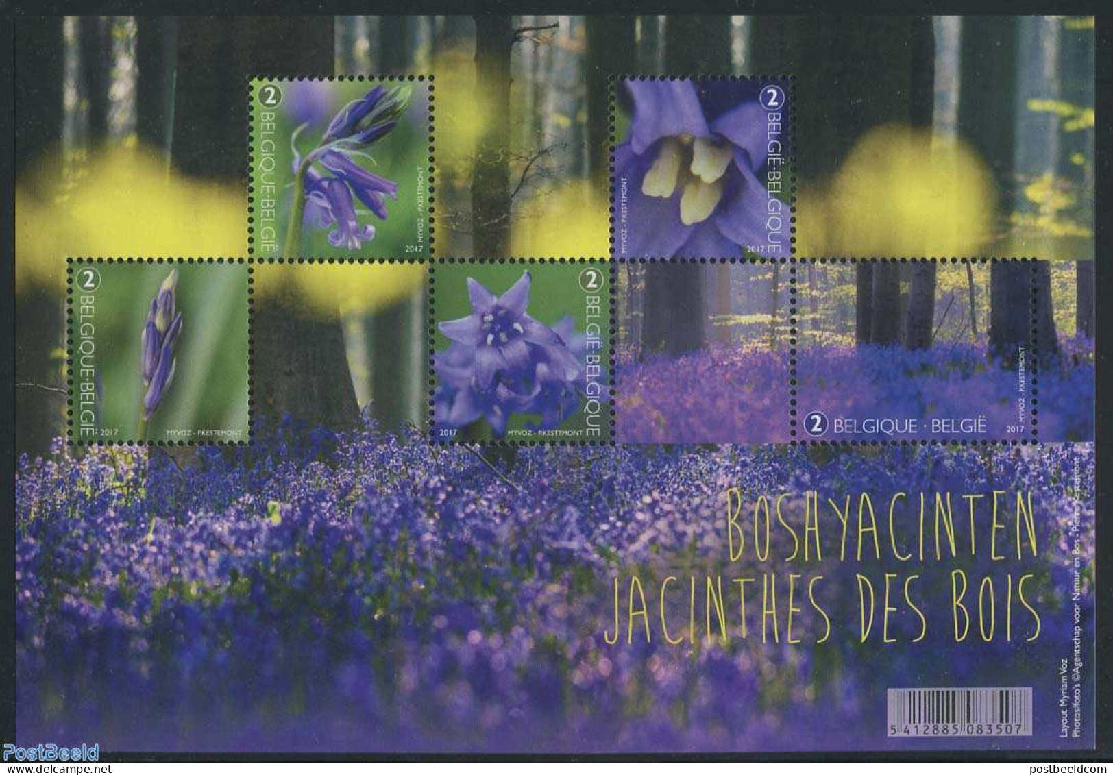 Belgium 2017 Forest Hyacinths S/s, Mint NH, Nature - Flowers & Plants - Neufs