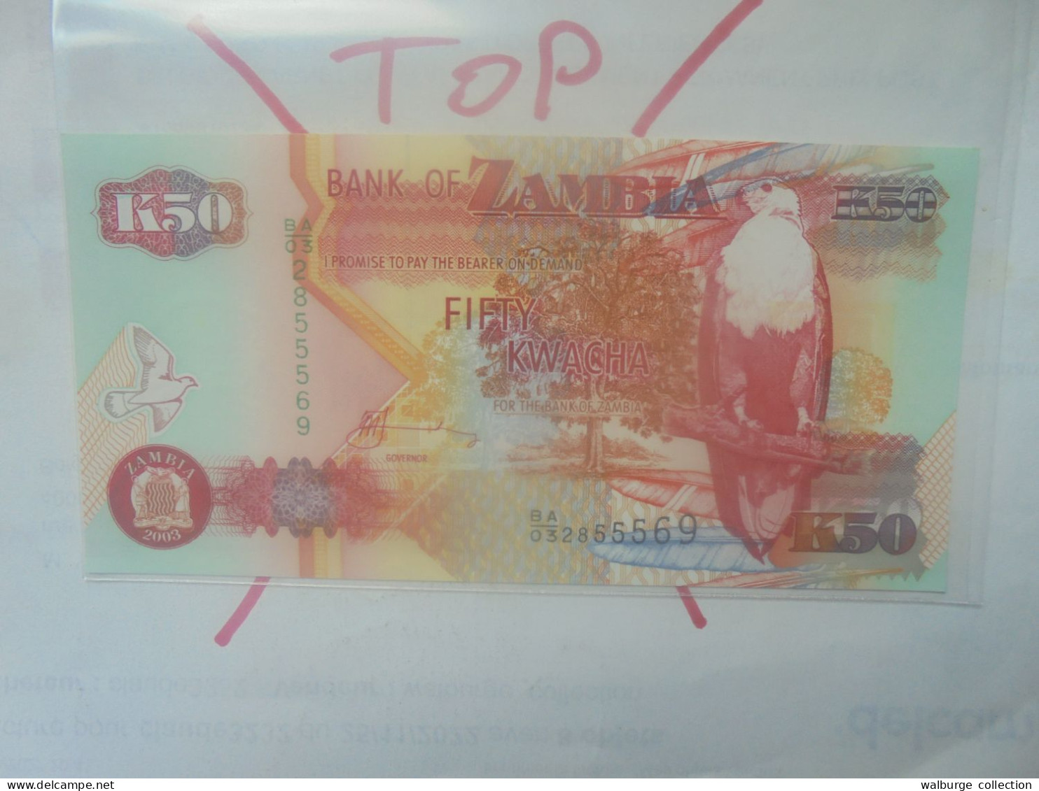 ZAMBIE 50 KWACHA 2008 Neuf (B.33) - Sambia