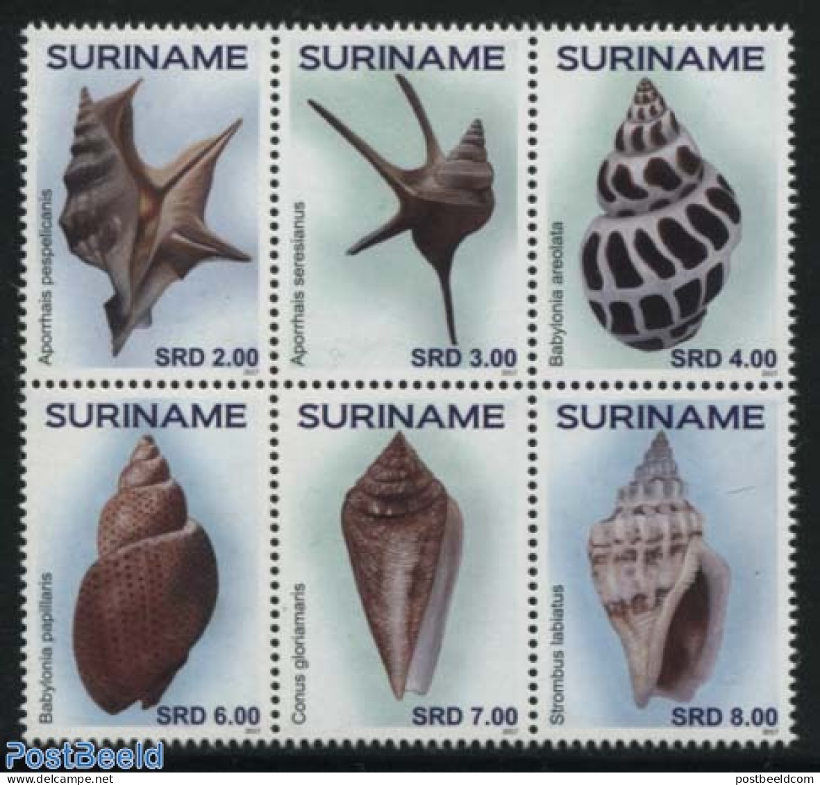 Suriname, Republic 2017 Shells 6v [++], Mint NH, Nature - Shells & Crustaceans - Marine Life