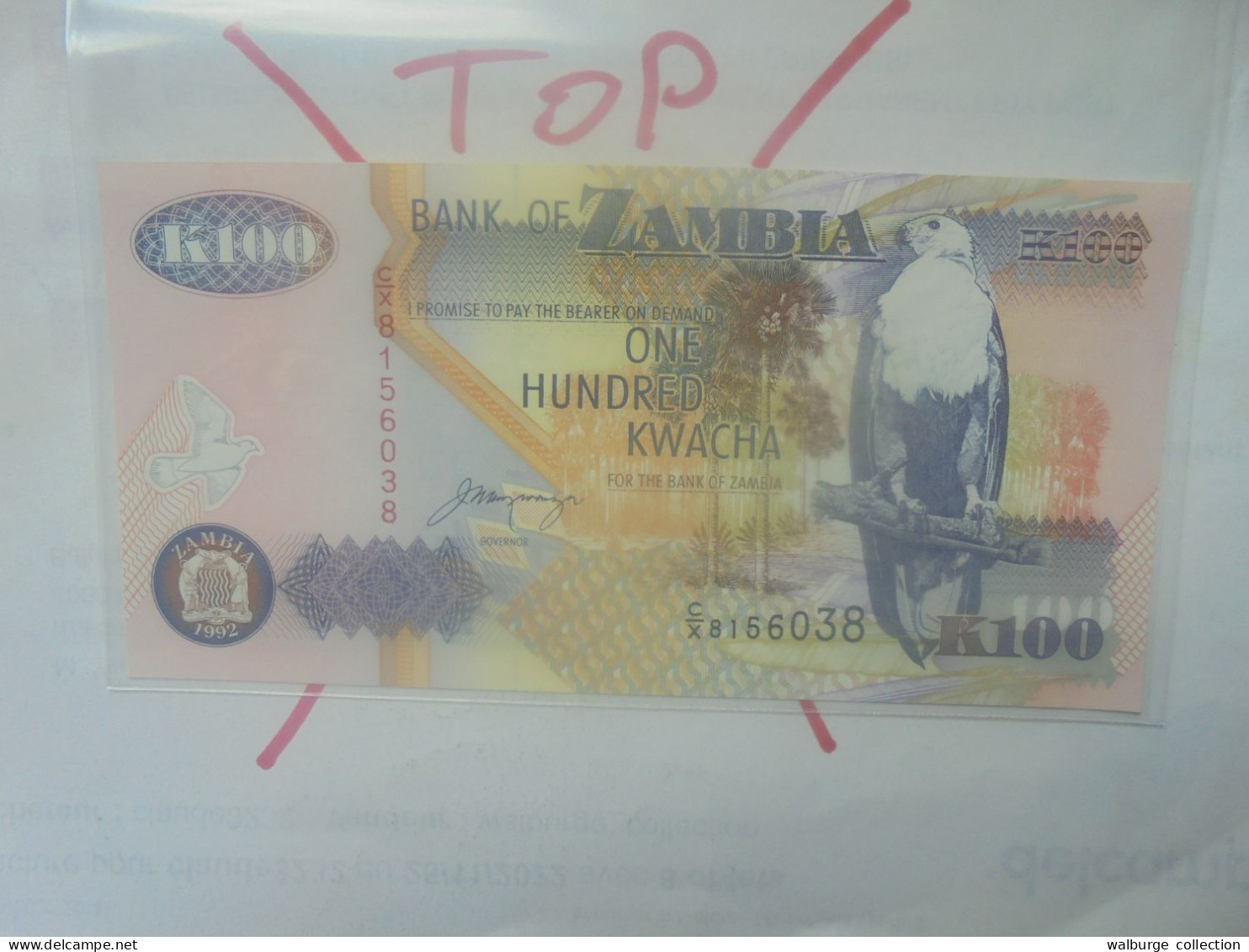 ZAMBIE 100 KWACHA 1992 Neuf (B.33) - Sambia