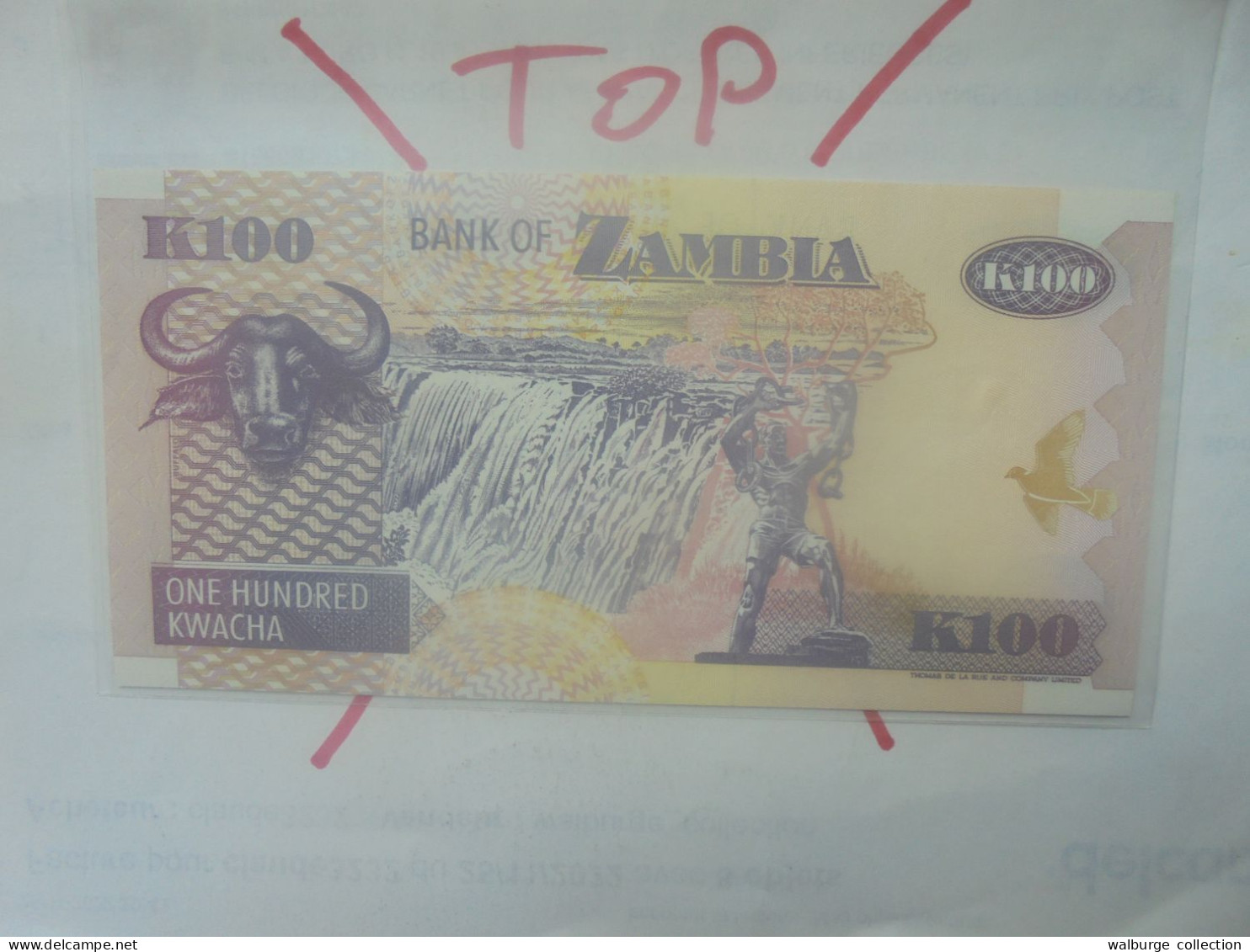 ZAMBIE 100 KWACHA 1992 Neuf (B.33) - Sambia