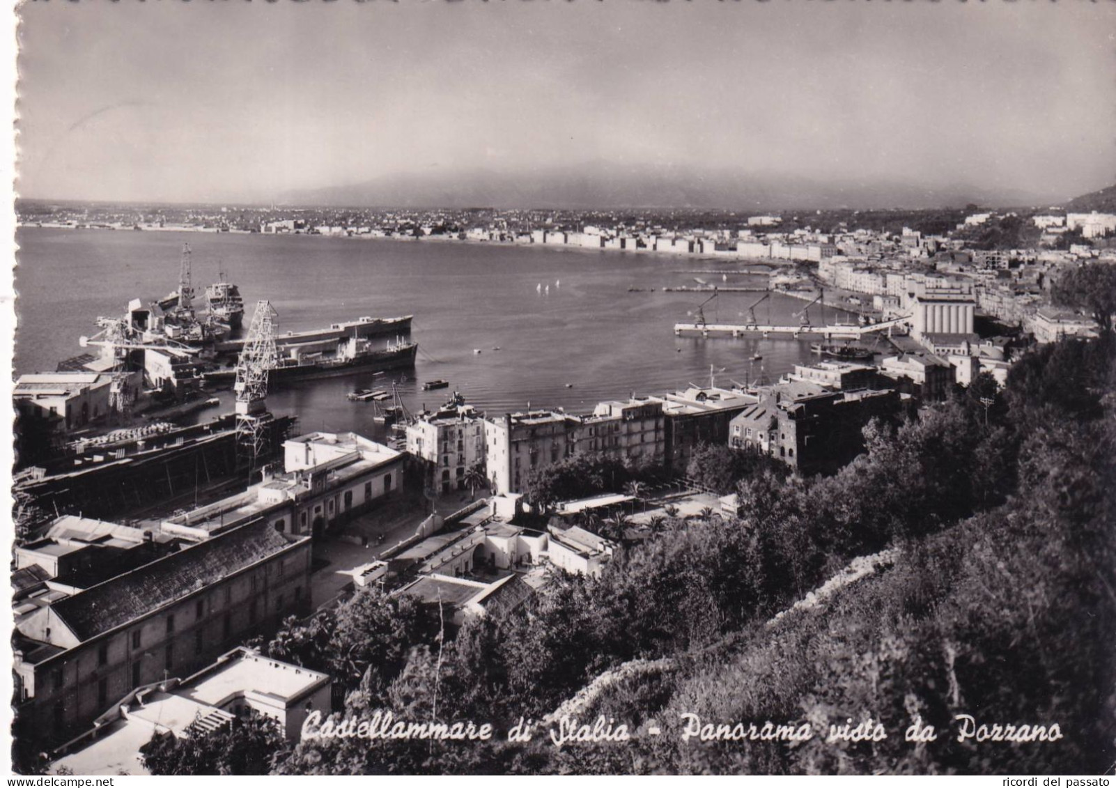 Cartolina Castellammare Di Stabia ( Napoli ) Panorama Visto Da Pozzano - Castellammare Di Stabia