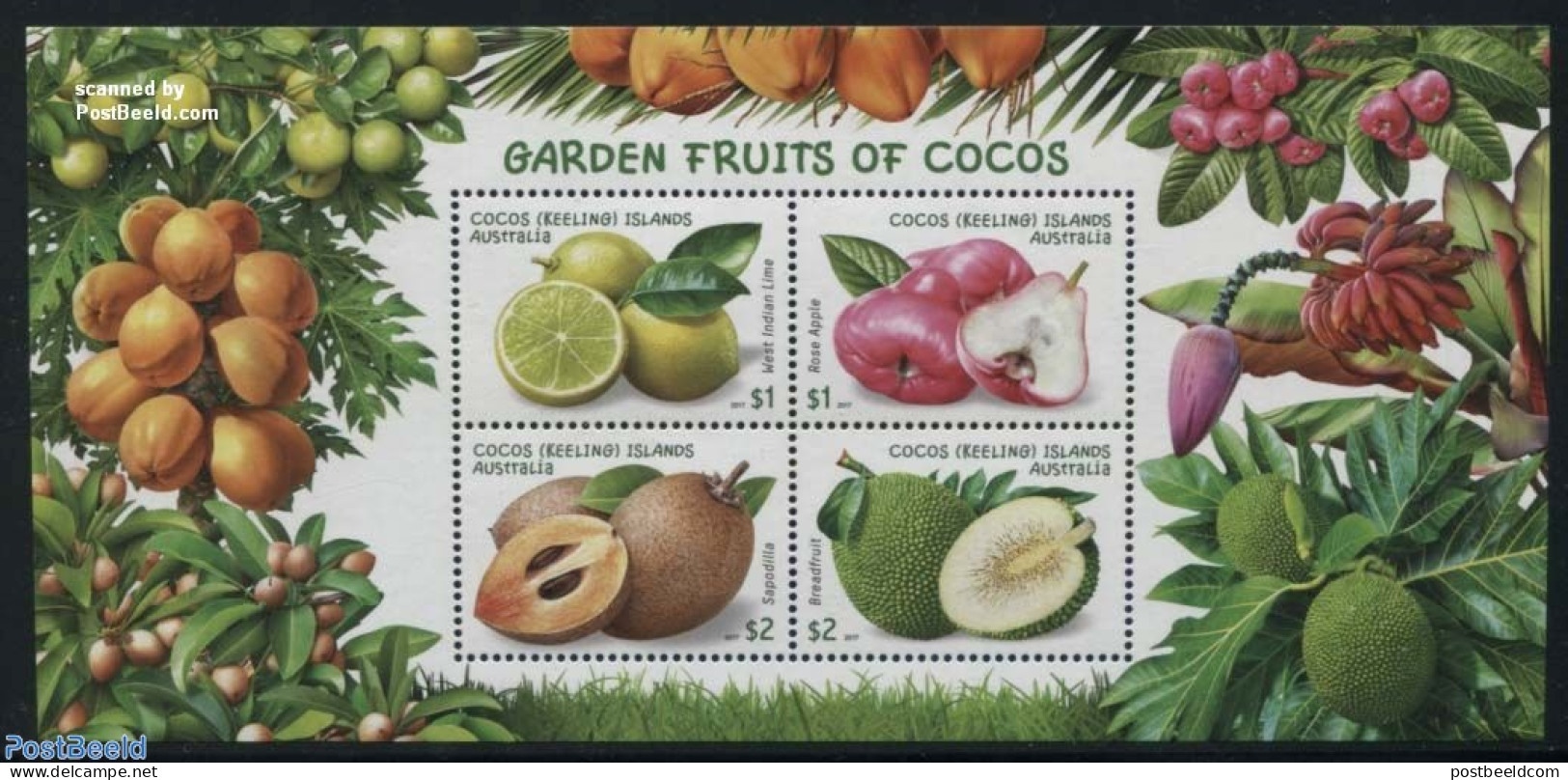 Cocos Islands 2017 Garden Fruits S/s, Mint NH, Health - Nature - Food & Drink - Fruit - Levensmiddelen
