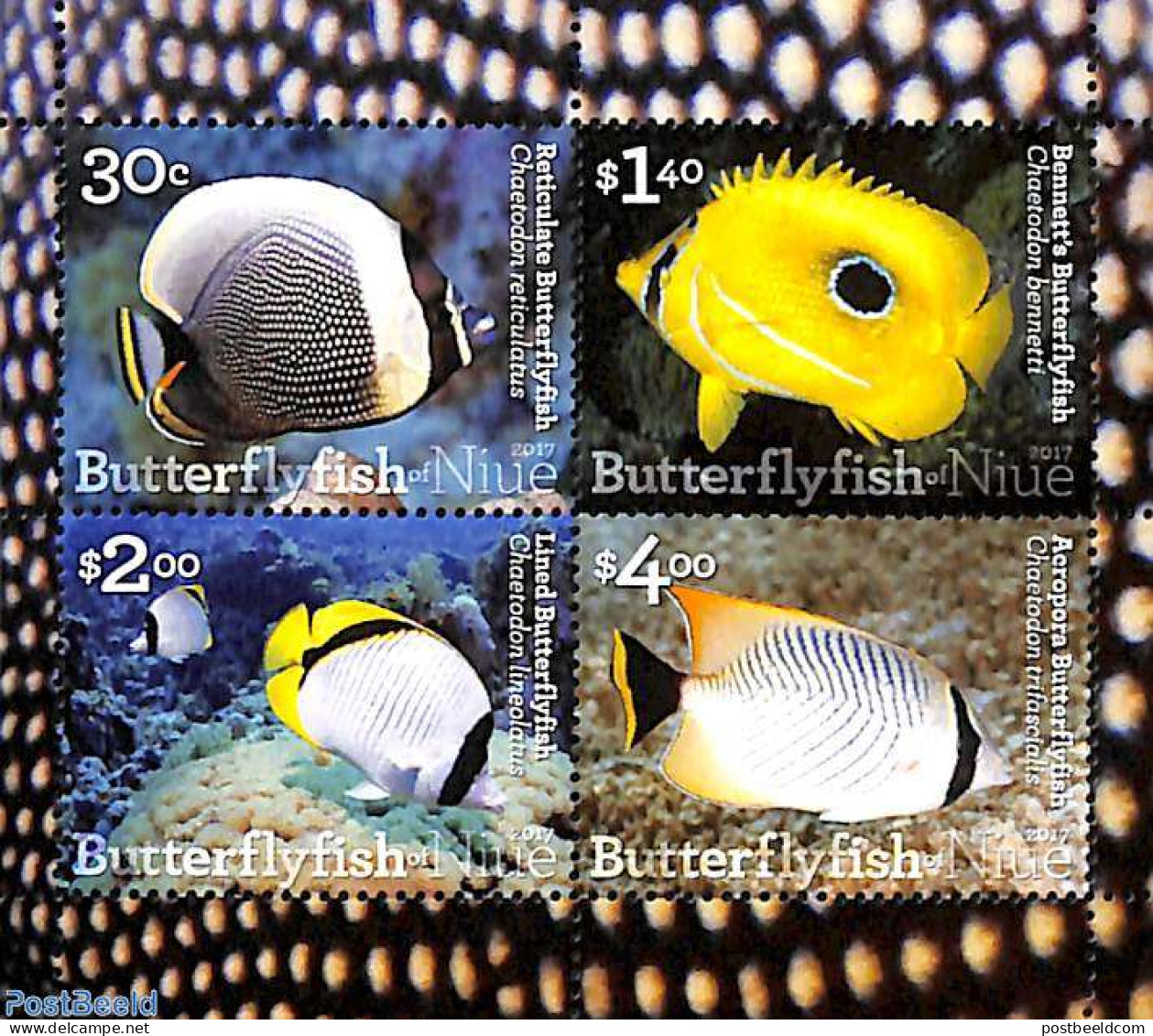 Niue 2017 Butterfly Fish 4v M/s, Mint NH, Nature - Fish - Poissons