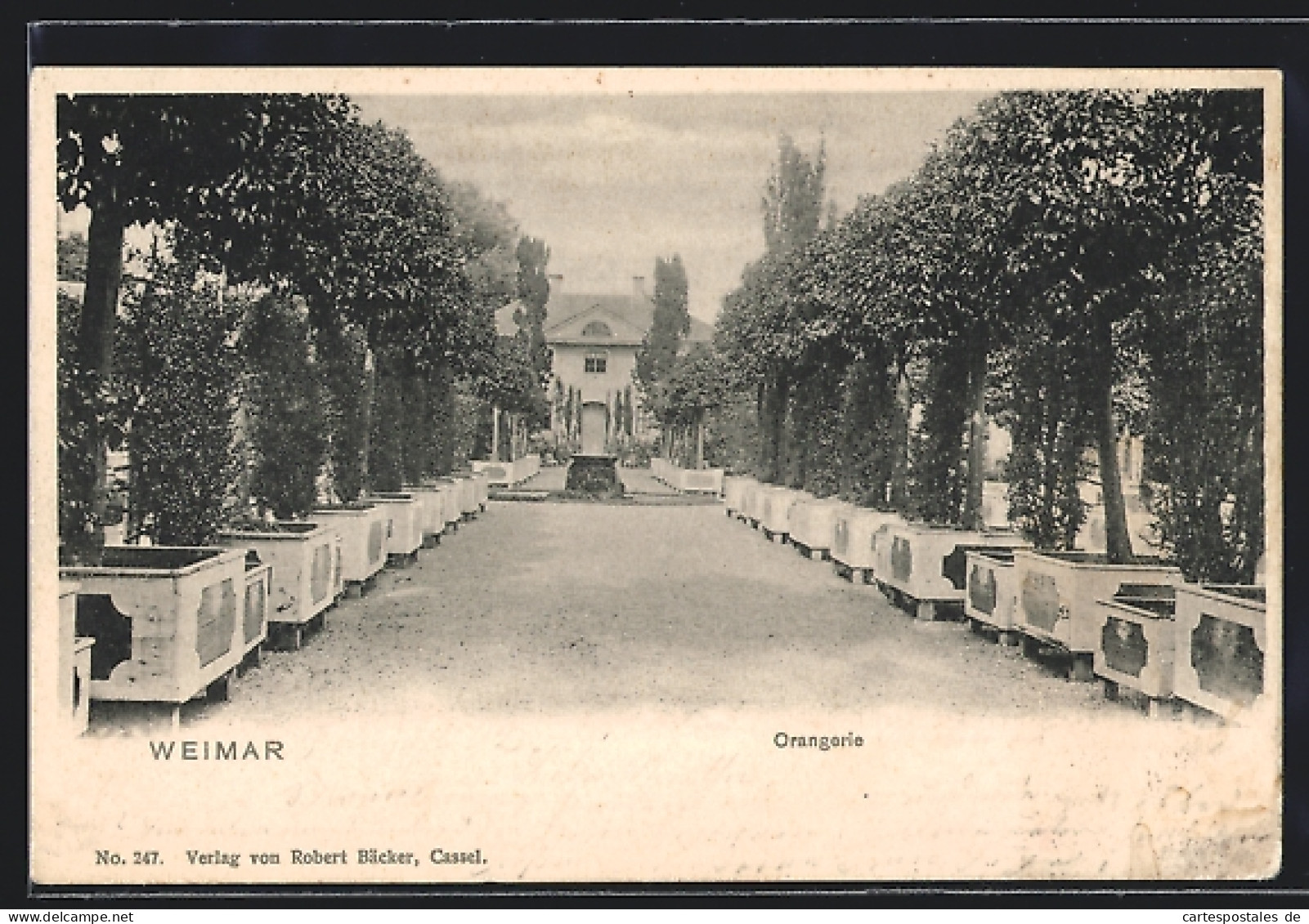 AK Weimar / Thür., Partie An Der Orangerie  - Weimar