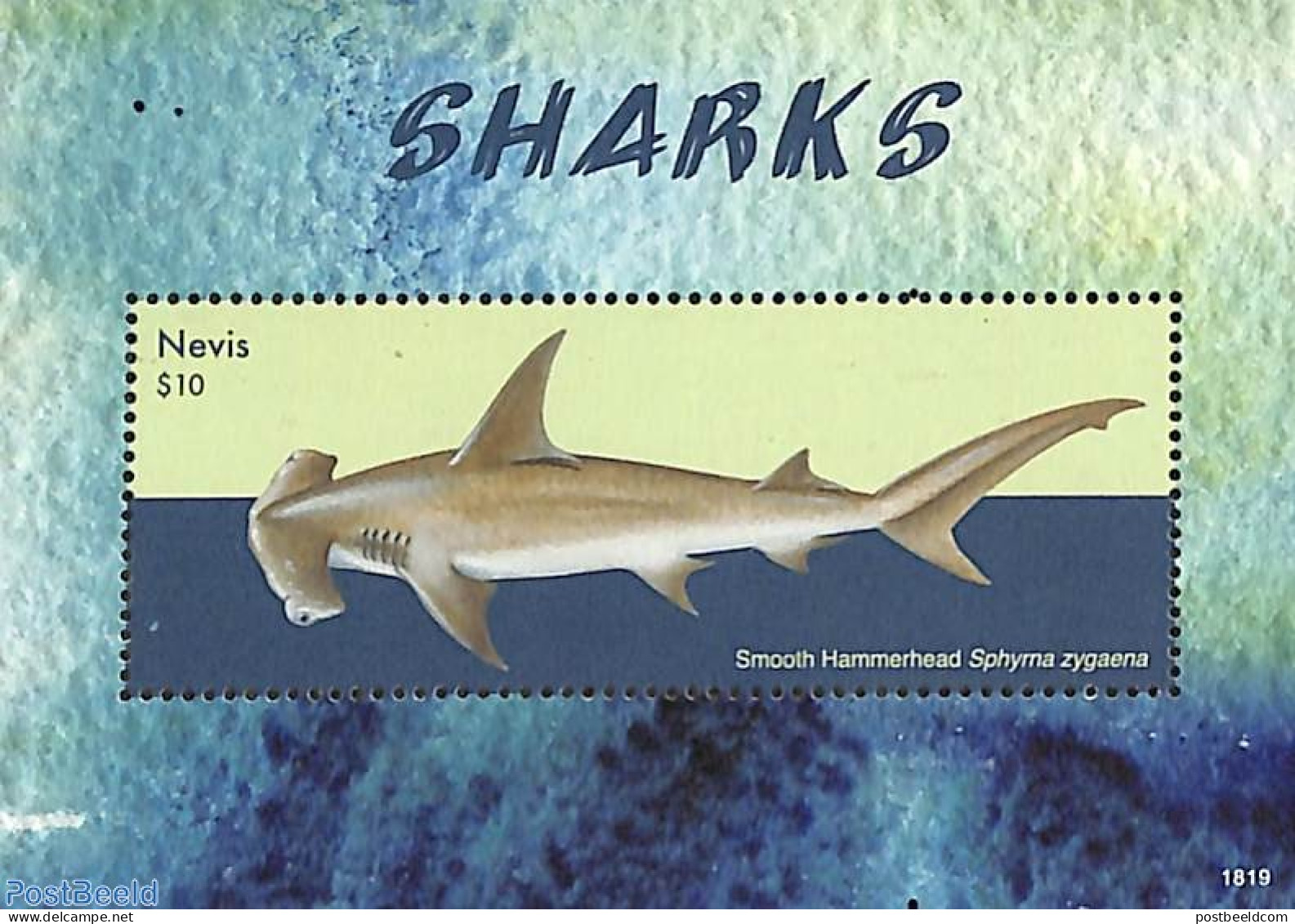 Nevis 2018 Sharks S/s, Mint NH, Nature - Fish - Sharks - Poissons