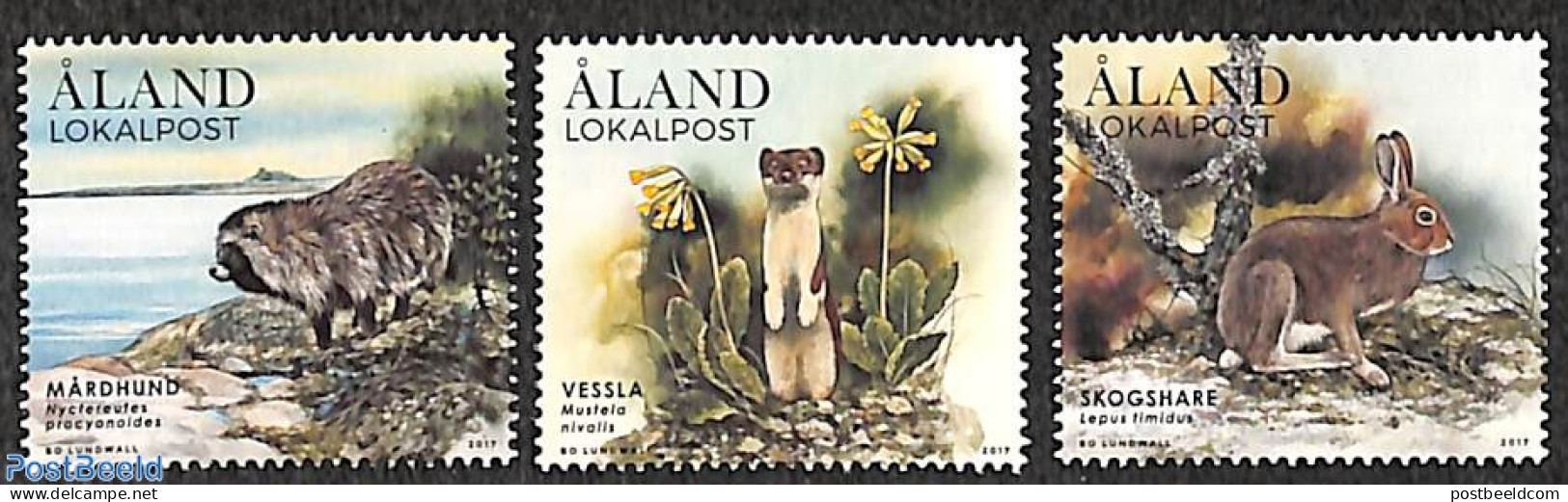 Aland 2017 Animals 3v, Mint NH, Nature - Animals (others & Mixed) - Rabbits / Hares - Ålandinseln