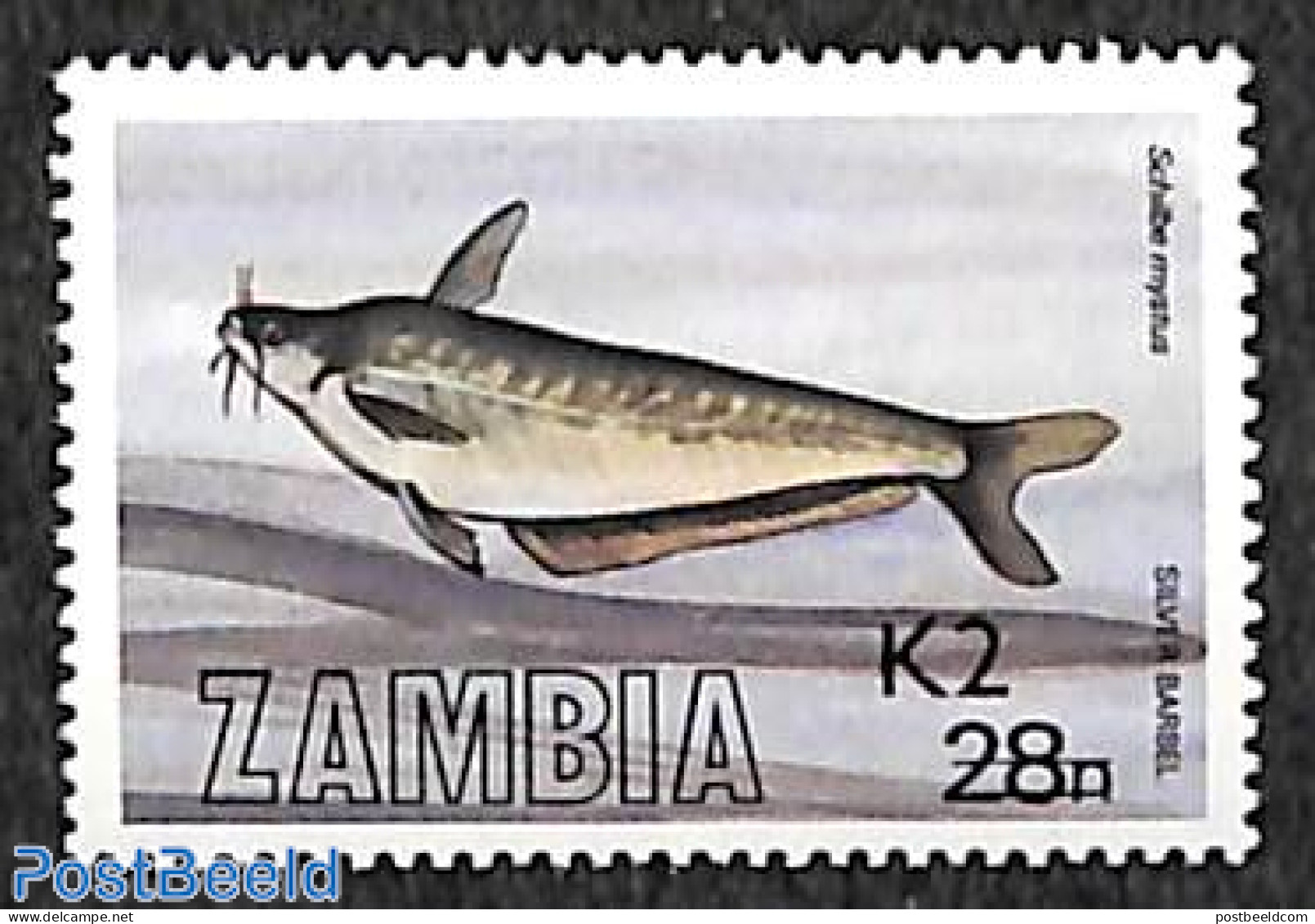 Zambia 1991 Fish 2k On 28n 1v, Mint NH, Nature - Fish - Poissons