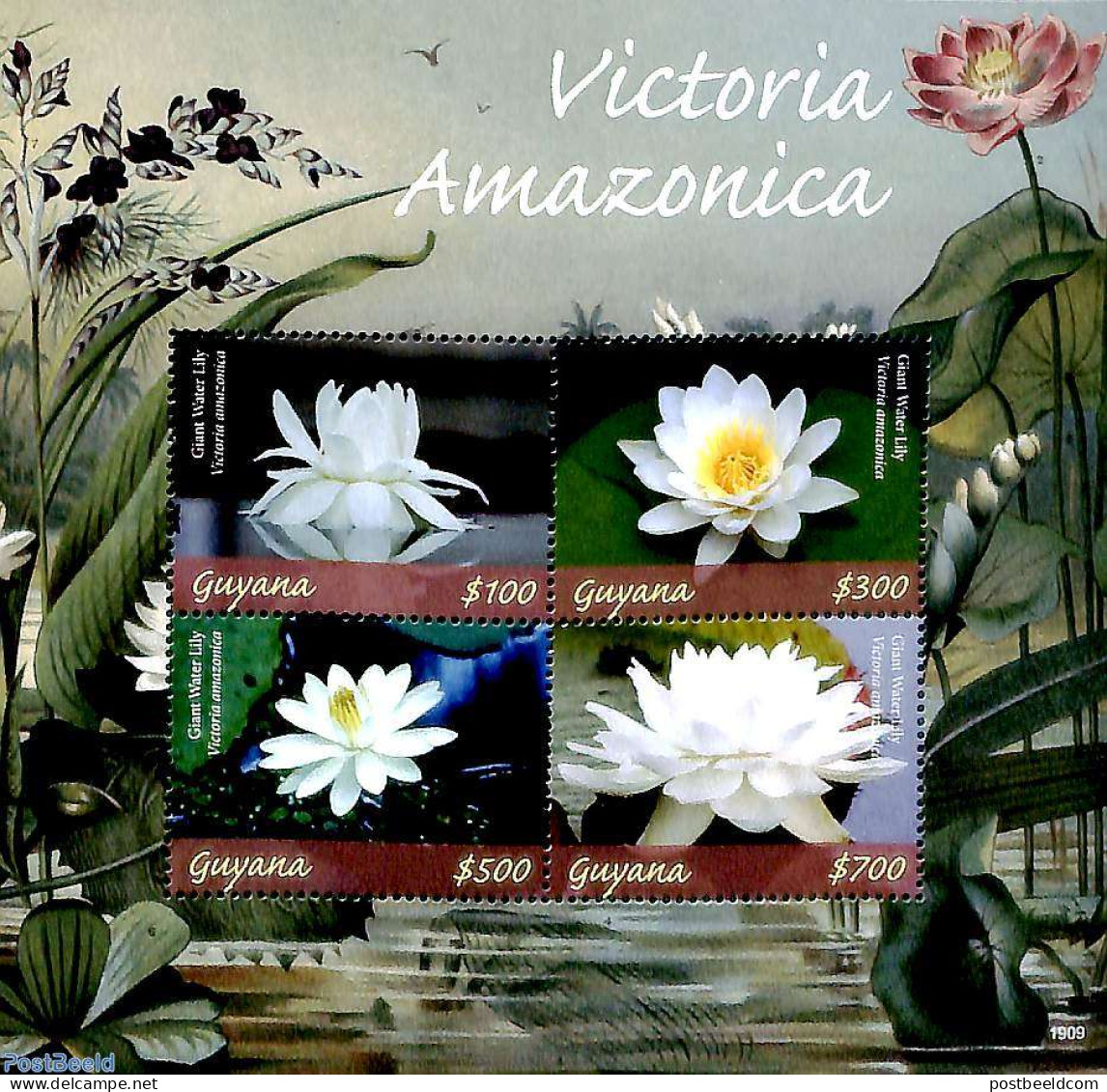 Guyana 2019 Victoria Amazonica 4v M/s, Mint NH, Nature - Flowers & Plants - Guyane (1966-...)