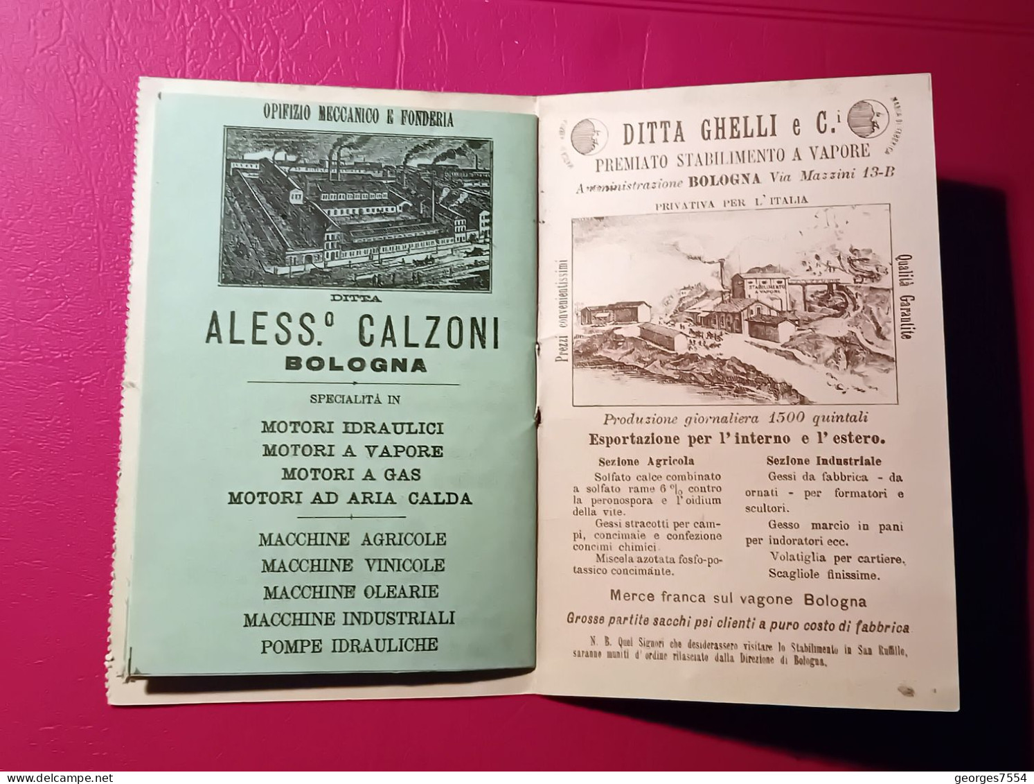 ITALIE - EXPOSIZIONI IN BOLOGNA - 1888 - BIGLIETTO D'INGRESSO - Toegangskaarten