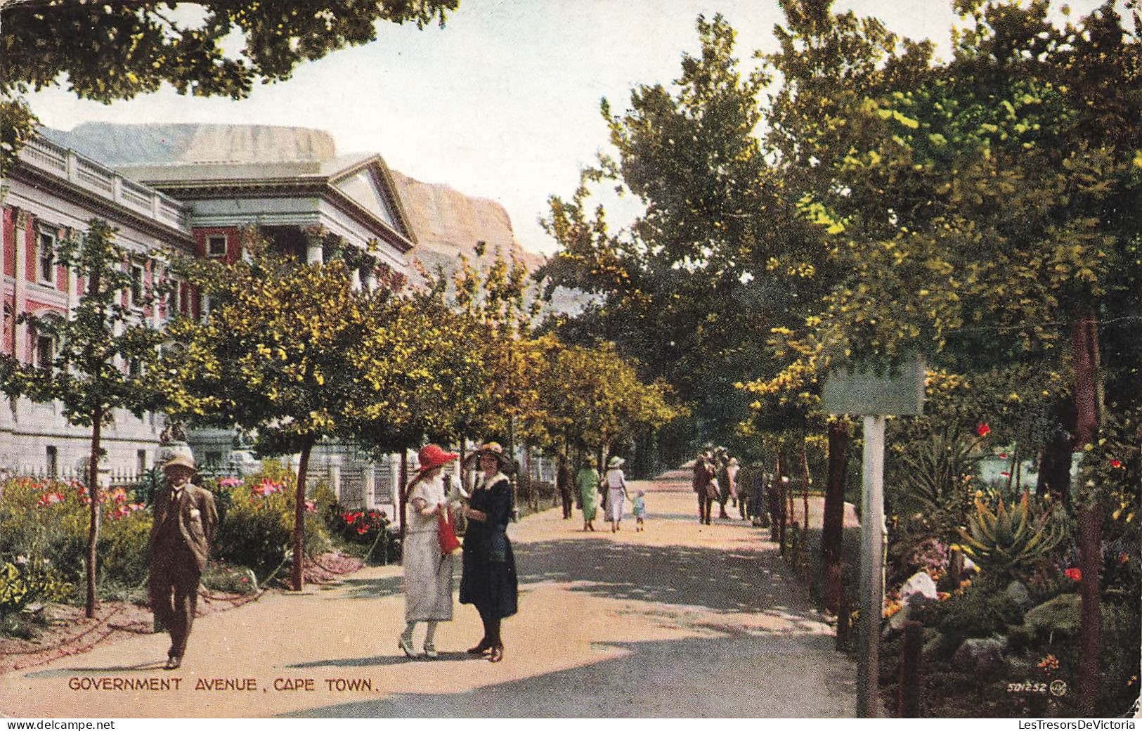 AFRIQUE DU SUD - Cape Town - Goverment Avenue - Colorisé - Carte Postale Ancienne - Südafrika