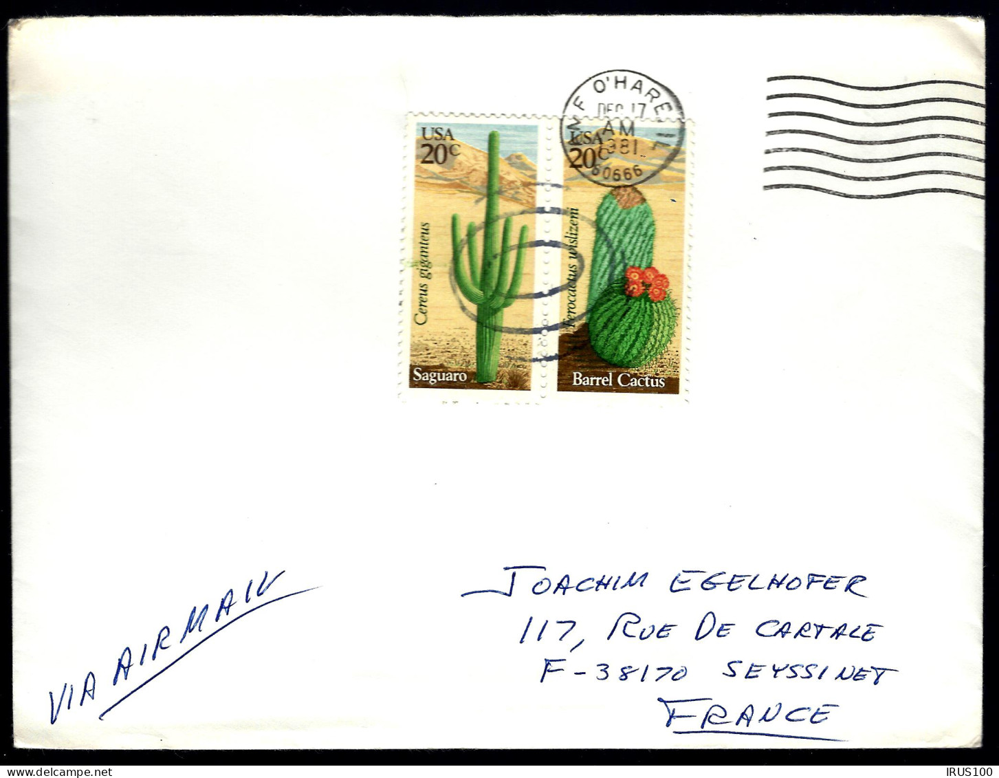 CACTUS SUR LETTRE  - EN PROVENANCE DES U.S.A -   - Sukkulenten