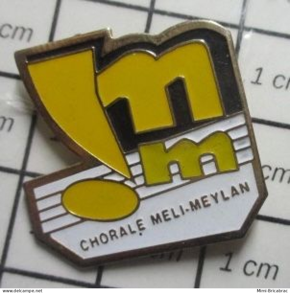 513A Pin's Pins / Beau Et Rare / MUSIQUE / CHORALE MELI-MEYLAN PORTEE MUSICALE - Musique