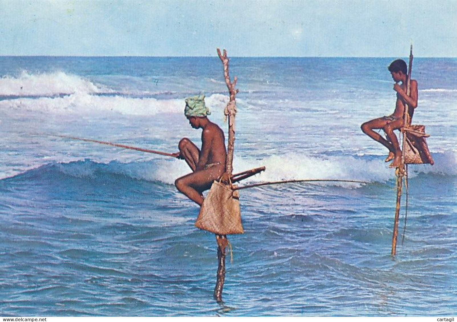 CPM GF-33956-Sri Lanka (Ceylan) Stilt Fishing -Livraison Offerte - Sri Lanka (Ceylon)