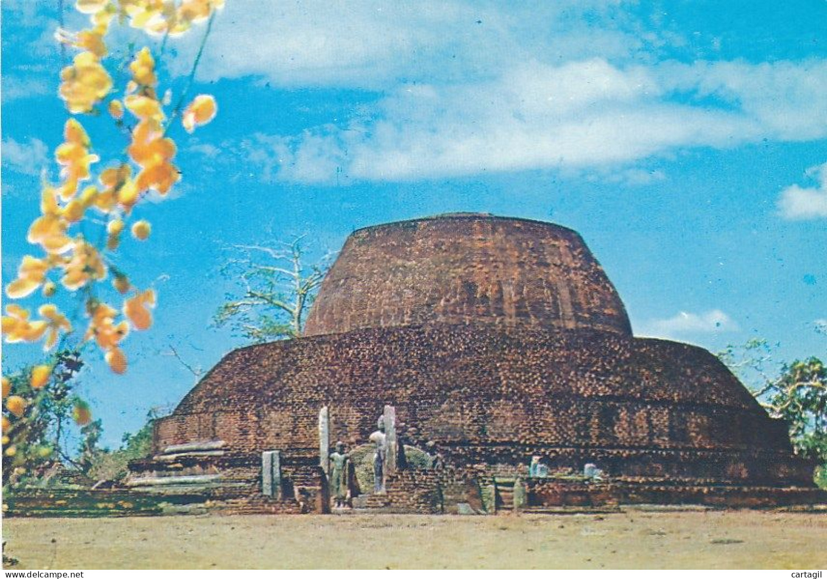 CPM GF-37027- Sri Lanka (Ceylan)-Site Antique ( Voir Scan Verso)-Livraison Offerte - Sri Lanka (Ceylon)