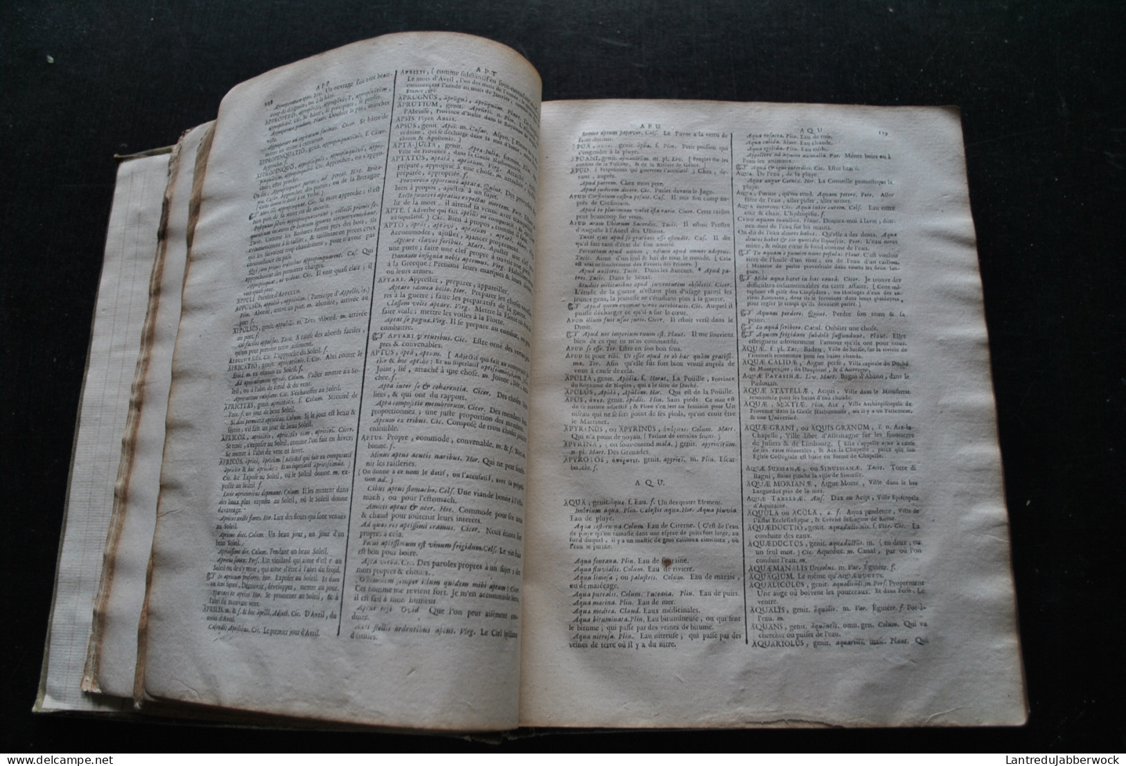 MAGNUM DICTIONARIUM LATINUM ET GALLICUM AD PLENIOREM PLANIOREMQUE - Lugduni Nicolaum De Ville 1726 Frontispice Regis