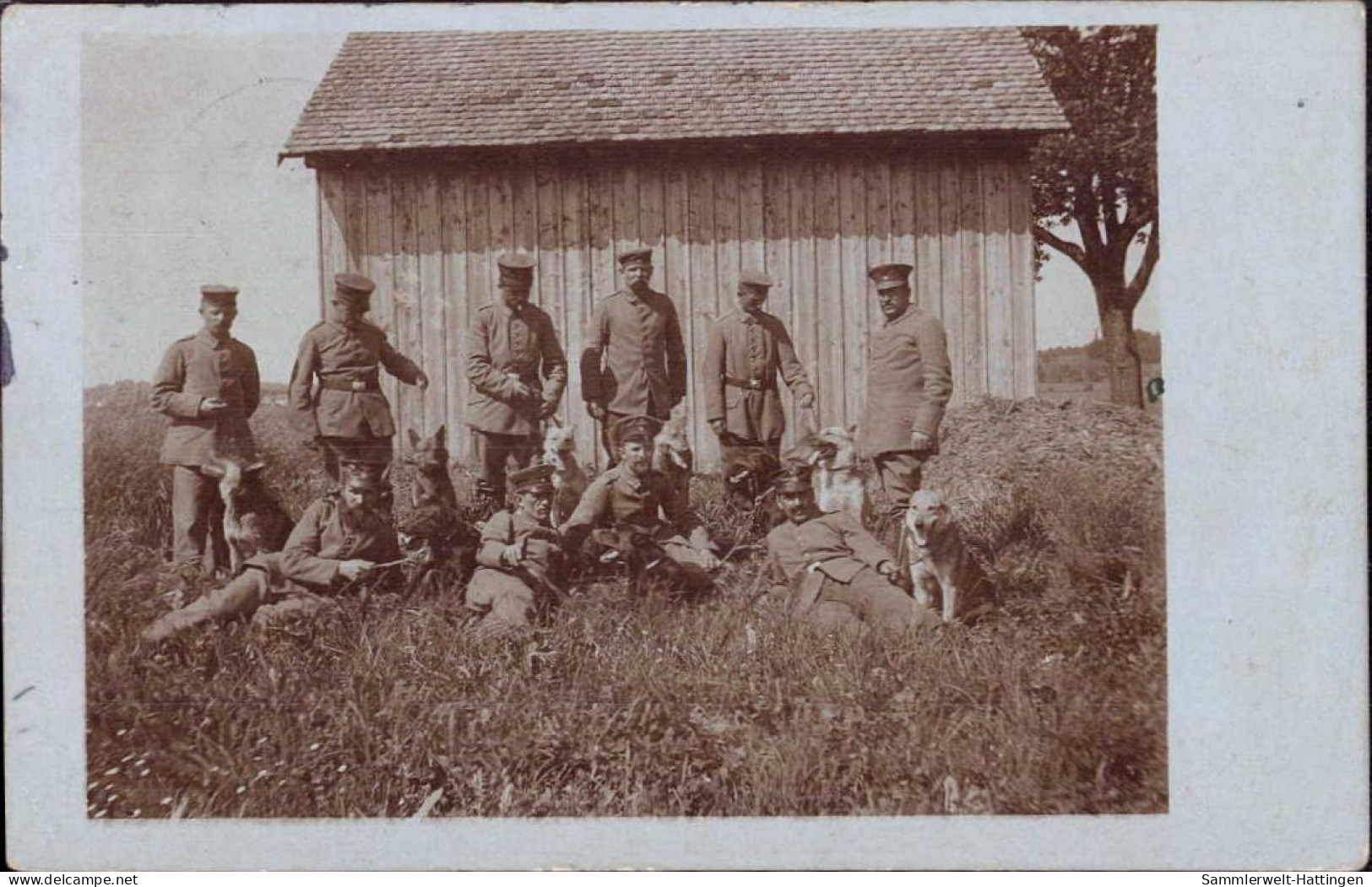 603973 | Feldpostkarte, Foto Einer Hundestaffel, Zensur  | Konstanz (W - 7750), -, - - Militares