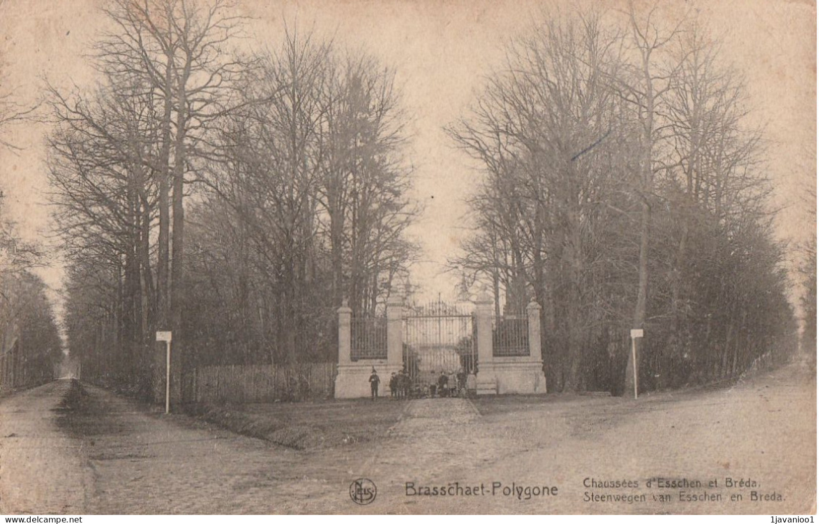 Brasschaat-Polygone, 2 Scans - Brasschaat