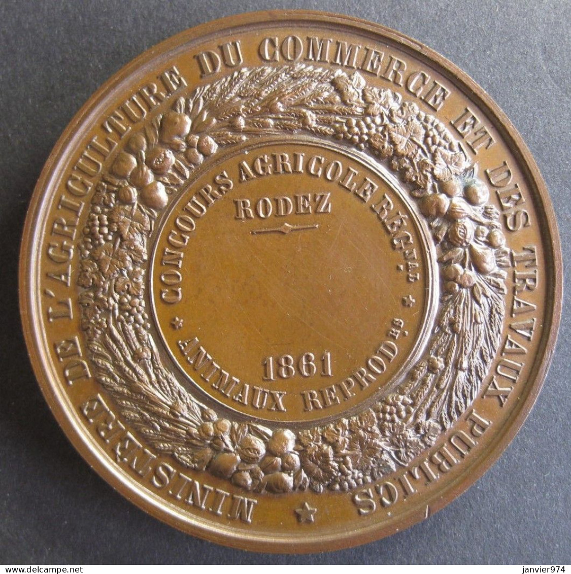 Medaille En Cuivre,  Rodez 1861 Aveyron ,  Napoleon III , Par Caque, Rare Dans Cette état - Altri & Non Classificati