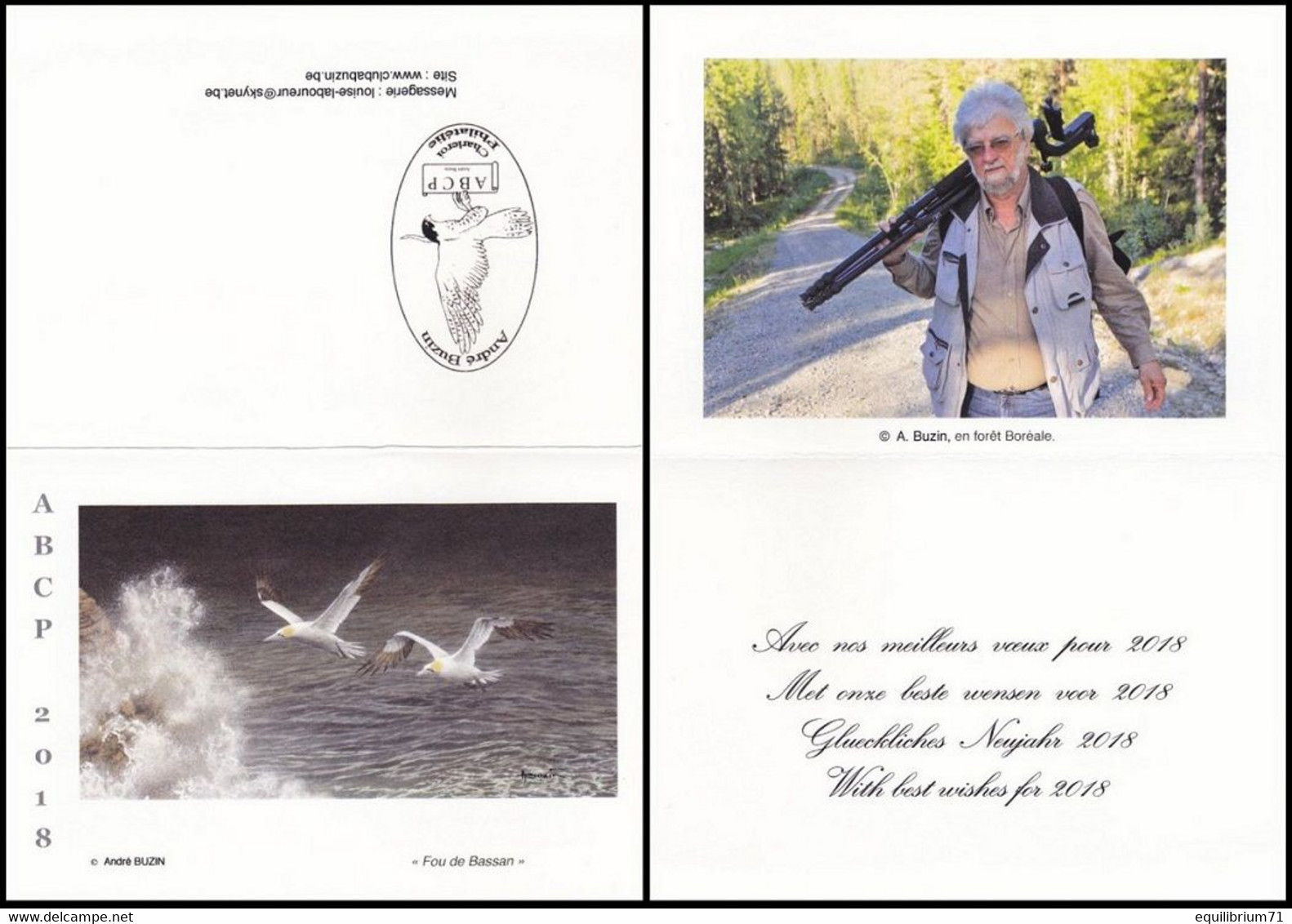 Carte De Voeux 2018 - Fou De Bassan / Jan-van-gent / Tölpel / Gannet / Morus Basanus - BUZIN - 1985-.. Birds (Buzin)