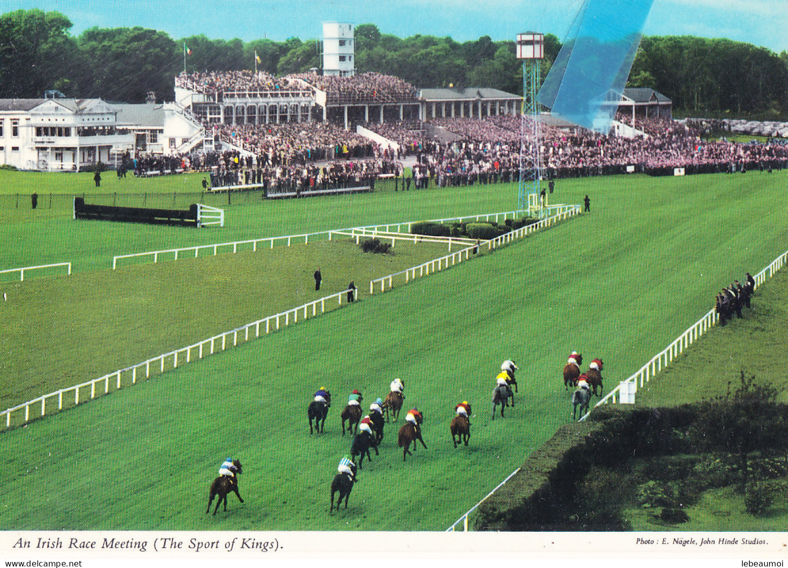 Yhn-  Irlande  Cpsm  HORSE RACING  - Other & Unclassified