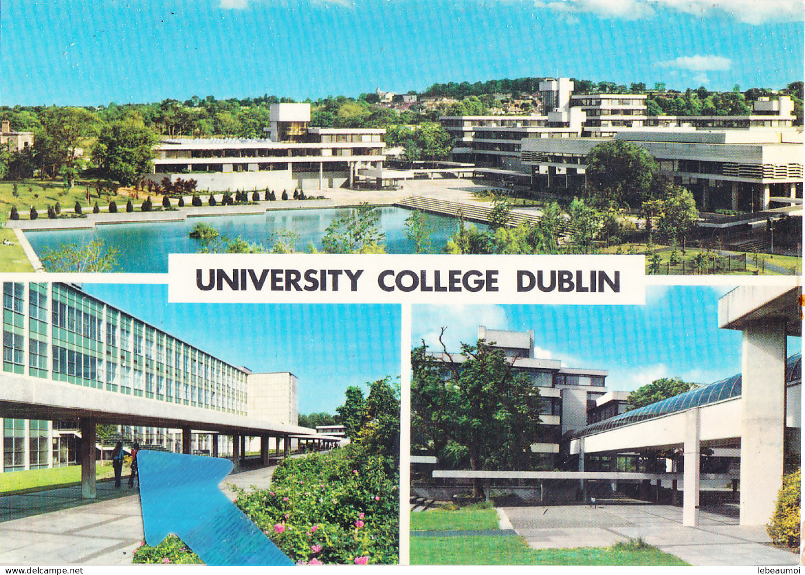 Yhn-  Irlande  Cpsm  DUBLIN  University - Dublin
