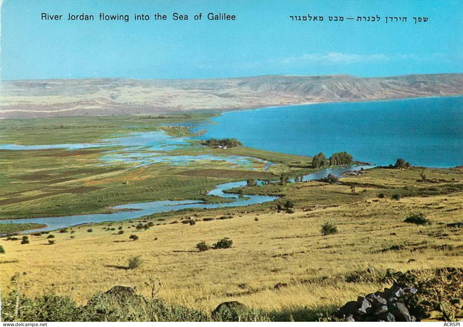 ISRAEL  River Jordan Galilee   62 (scan Recto-verso)MA1917 - Israel