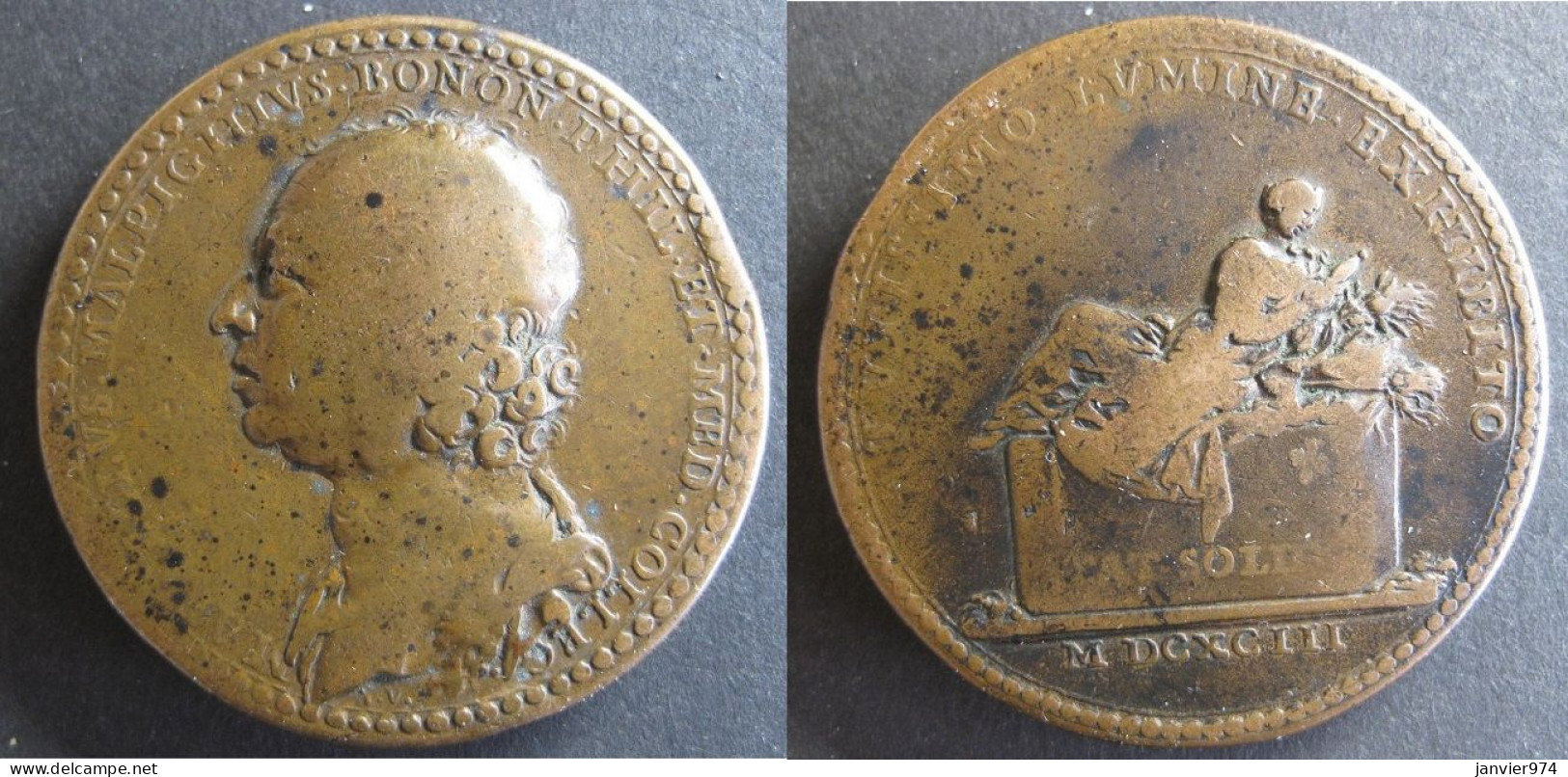 Médaille En Bronze Marcello Malpighi 1693,  Par Ferdinand St. Urbain. RARE - Sonstige & Ohne Zuordnung