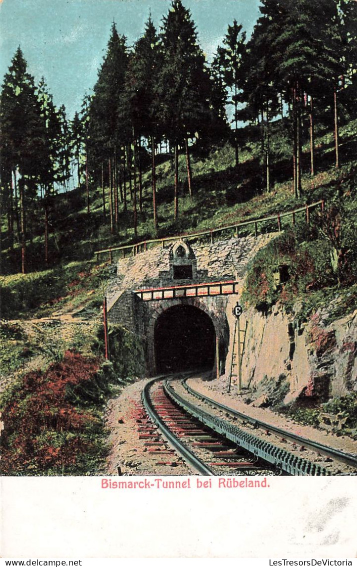 ALLEMAGNE - Bismarck Tunnel Bei Rubeland - Vue Face à L'entrée D'une Tunnel - Carte Postale Ancienne - Stolberg (Harz)