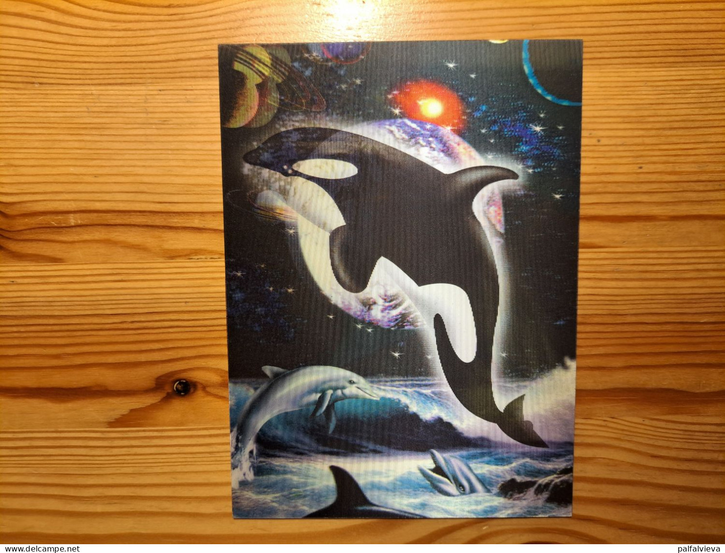 Postcard - Dolphin, Lenticular, 3D - Dolfijnen