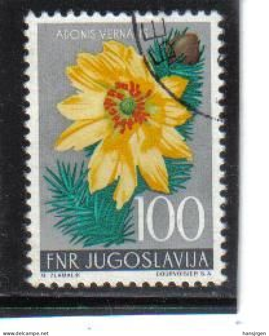 STE1266 JUGOSLAWIEN 1955 MICHL  773 GESTEMPELT SIEHE ABBILDUNG - Used Stamps