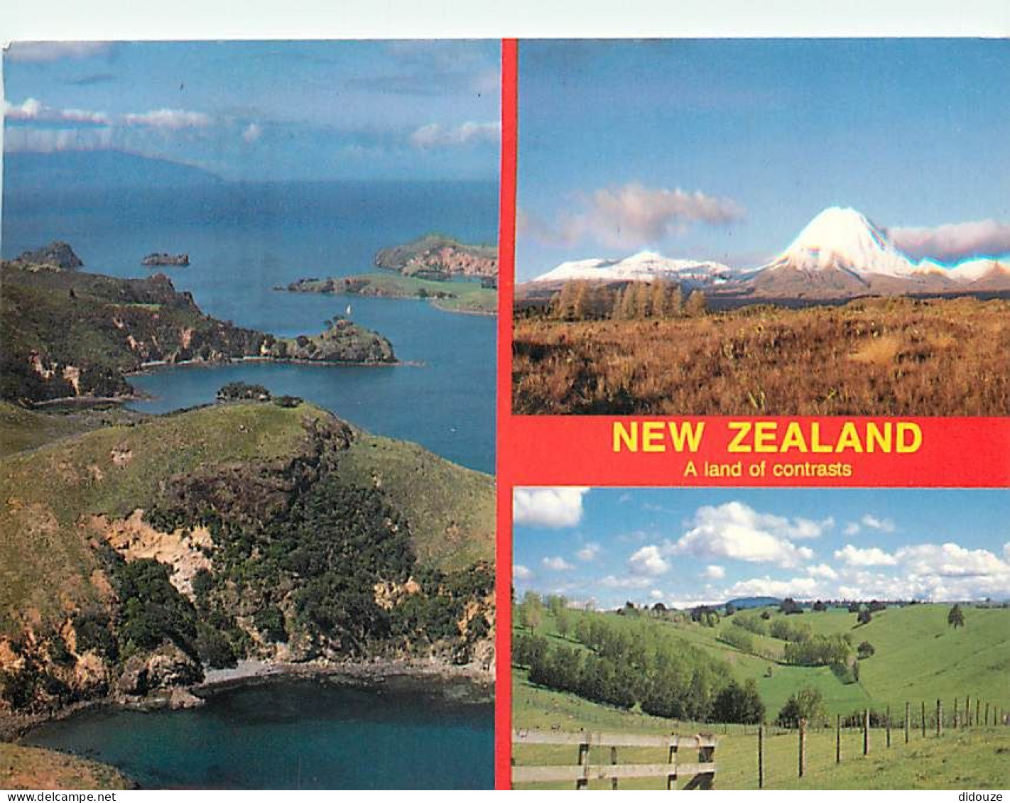 Nouvelle Zélande - New Zealand - Multivues - CPM - Voir Scans Recto-Verso - Nouvelle-Zélande