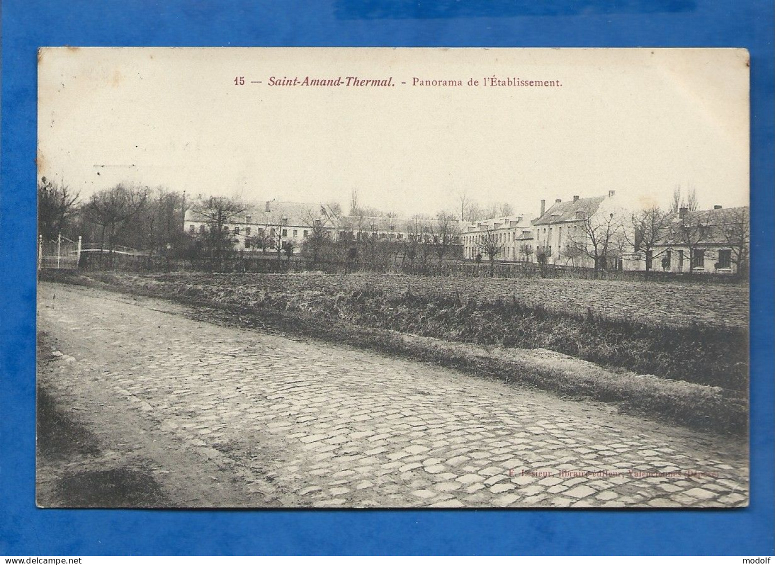 CPA - 59 - Saint-Amand-Thermal - Panorama De L'Etablissement - Circulée En 1905 - Saint Amand Les Eaux